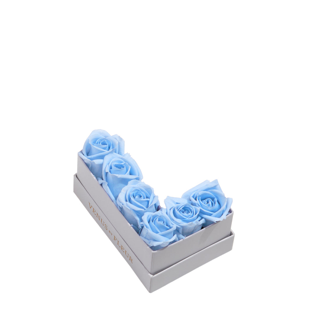 babyblue_5ace23c1-7d42-48b1-b48f-a6752da1eae8.jpg