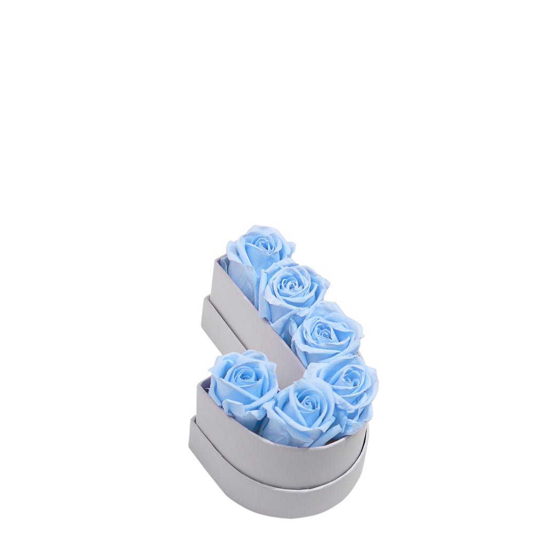 babyblue_6f86b568-9fa6-405c-b374-a925a62fdcc2.jpg