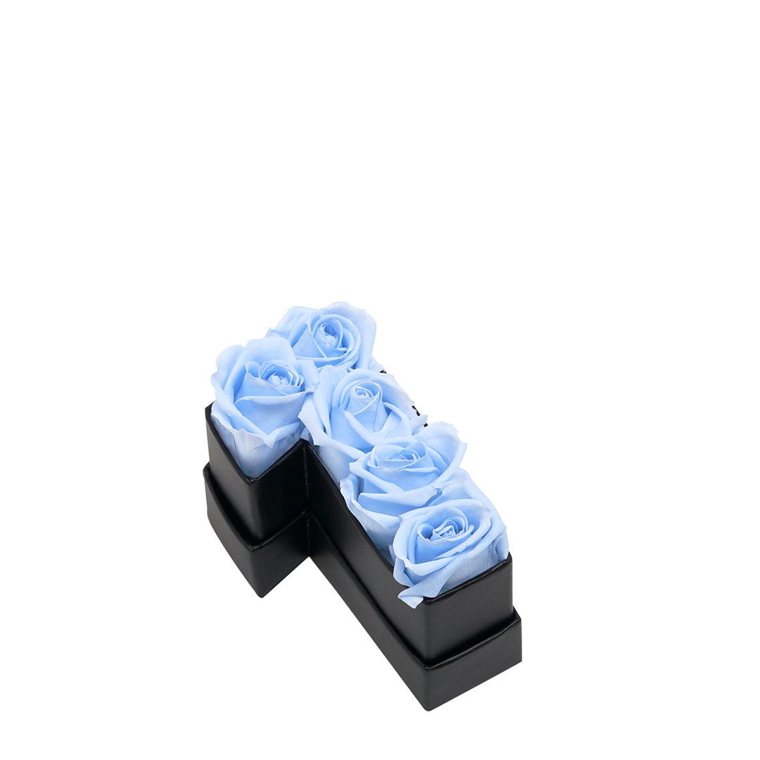babyblue_a3c0cef7-acd4-42b9-9a8e-f1600c0be5fd.jpg