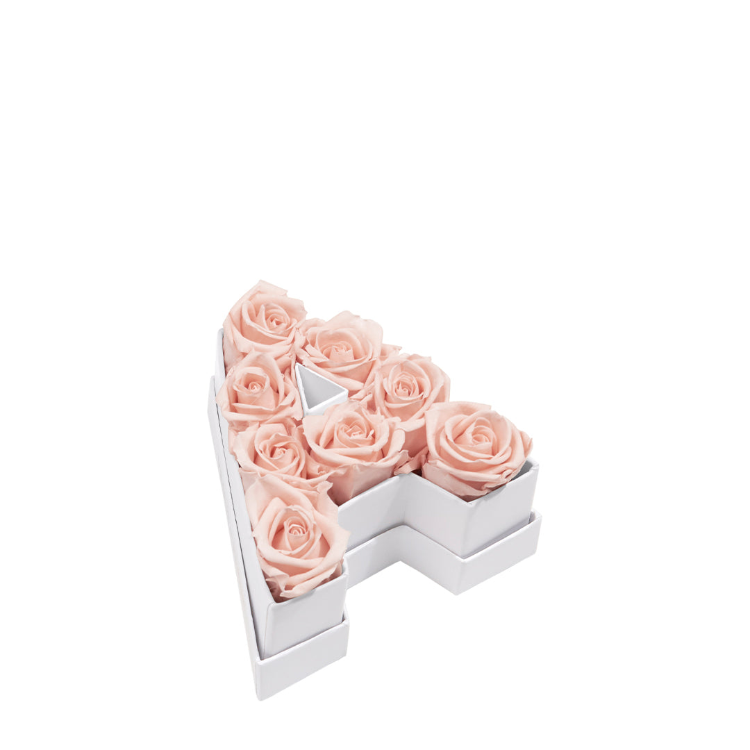 blush_03e123d5-1d9e-4c6c-853c-cd3f68f2743f.jpg