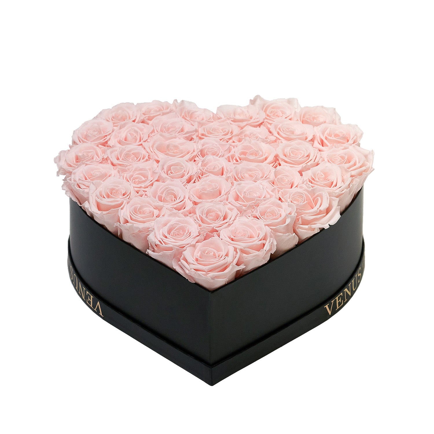 blush_53.jpg