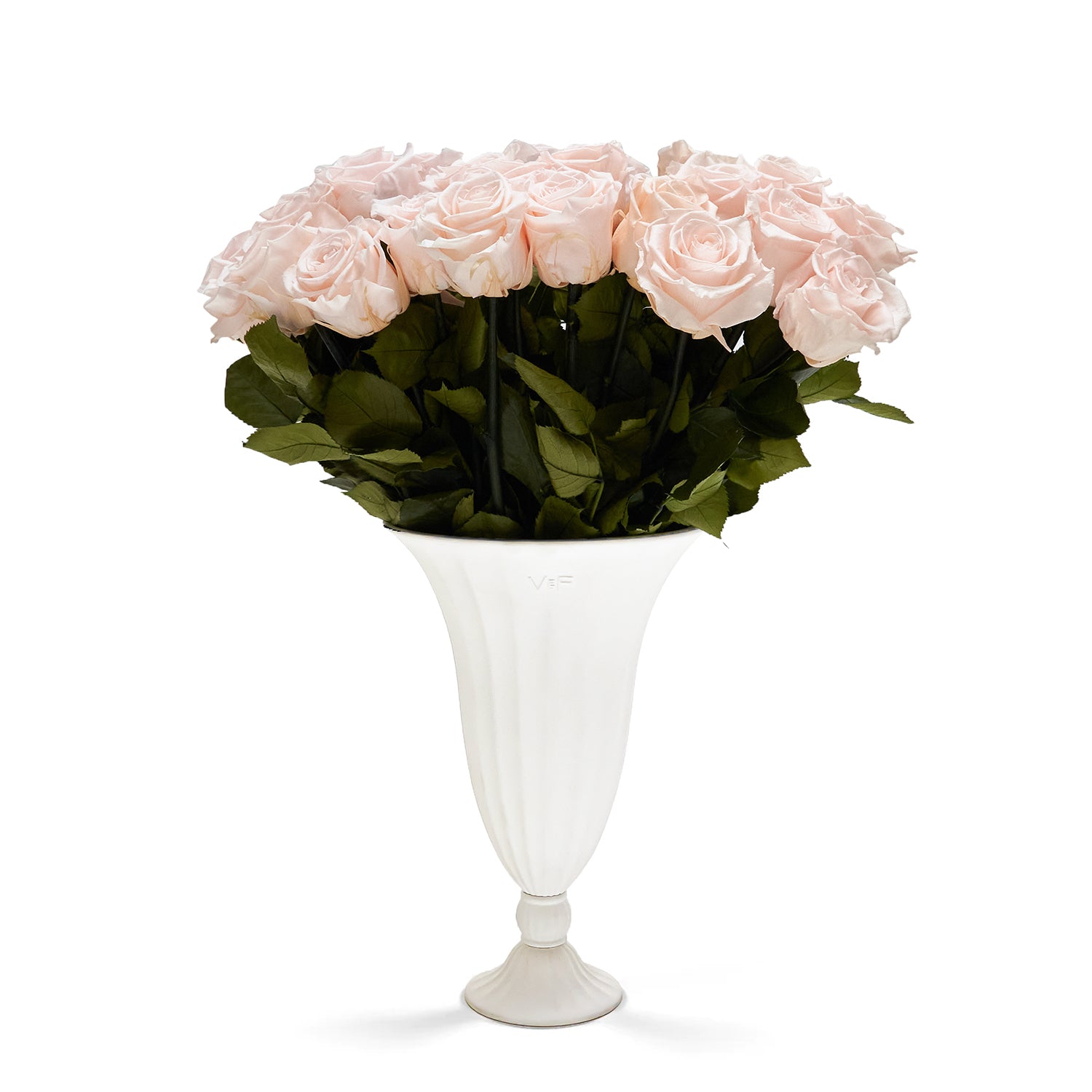 blush_60d3c1ba-8f01-4735-a1c4-e1b6033e2197.jpg