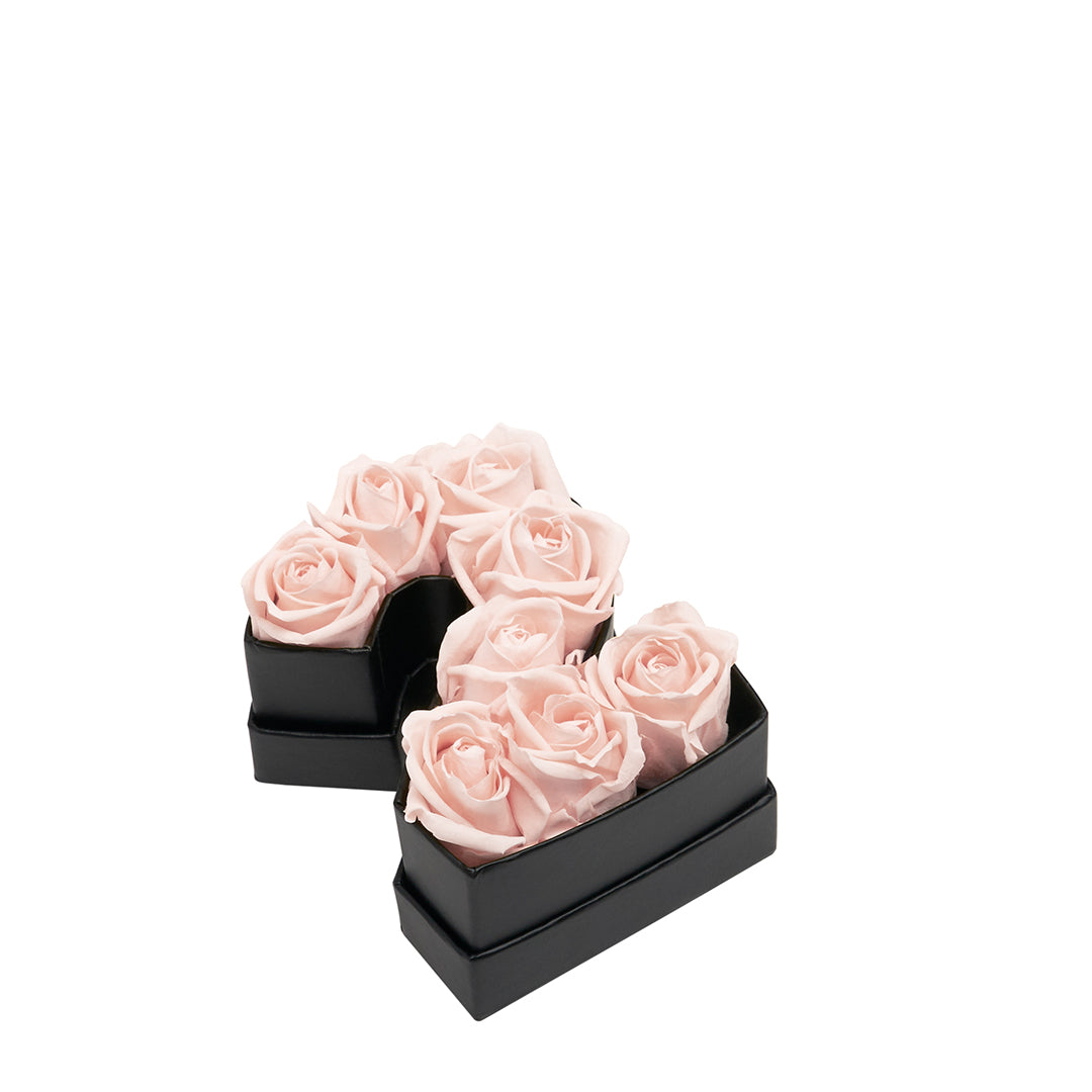 blush_78199c98-81e0-4b1a-8b5e-b4cd8ebc857d.jpg
