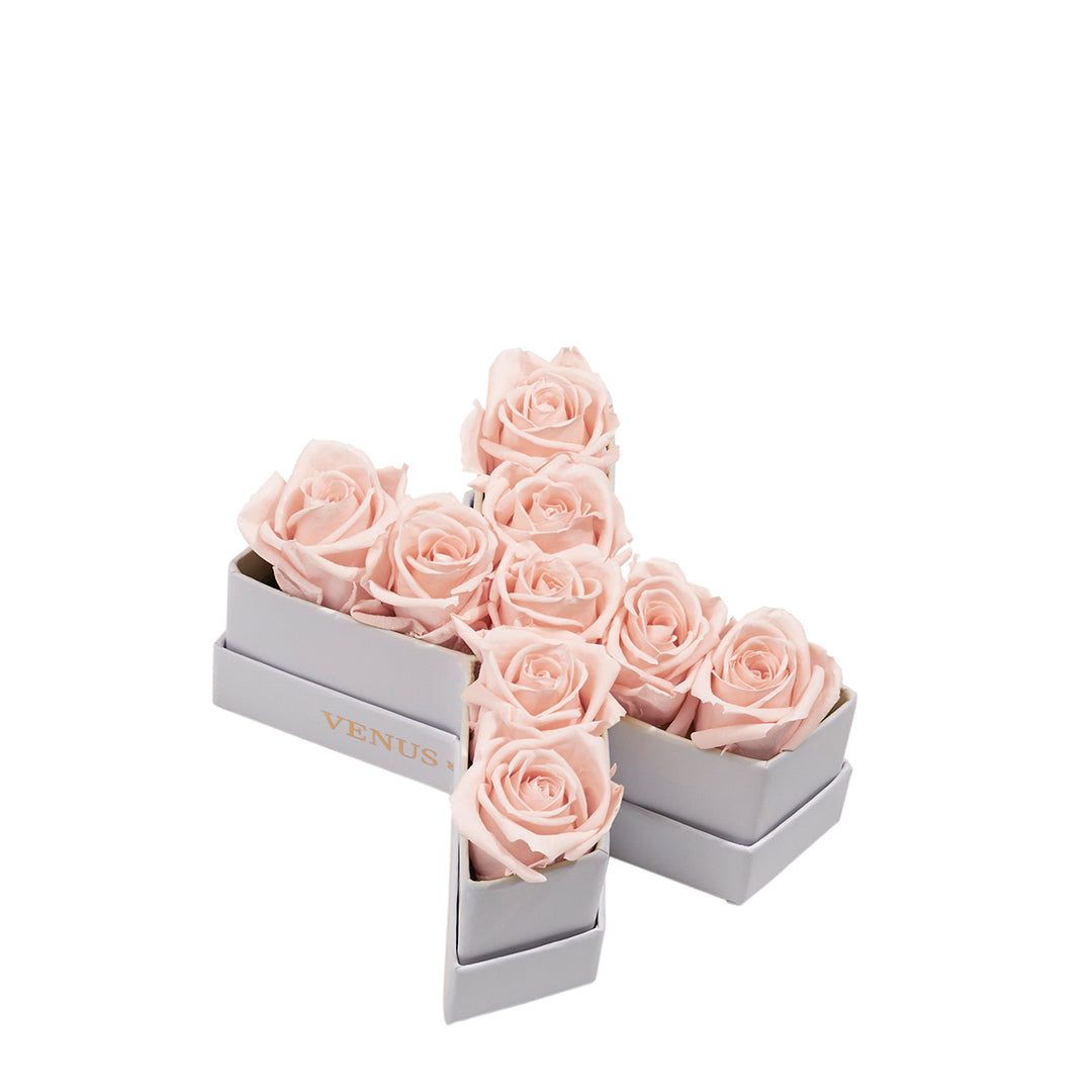 blush_b50720ff-4966-4638-b102-b1cf9cc57b5a.jpg