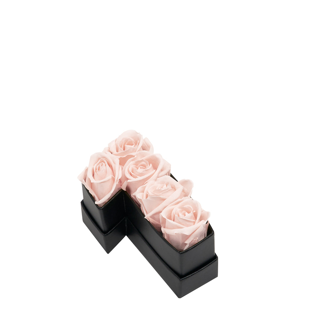 blush_d74f3a15-e515-4d86-8aa9-f2a9d75a23a7.jpg