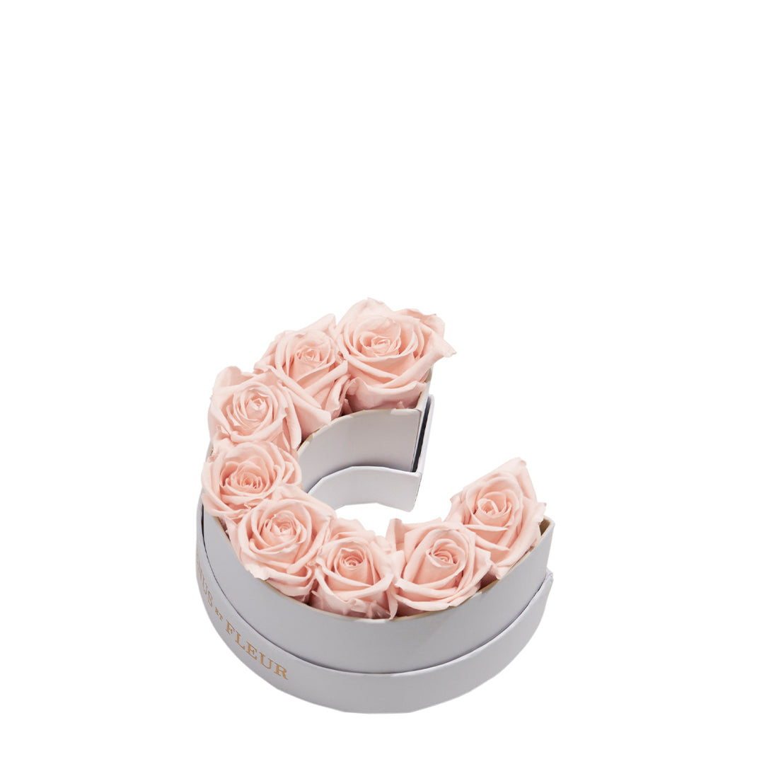 blush_fa910761-1d16-45d2-99b4-3443098ae80c.jpg