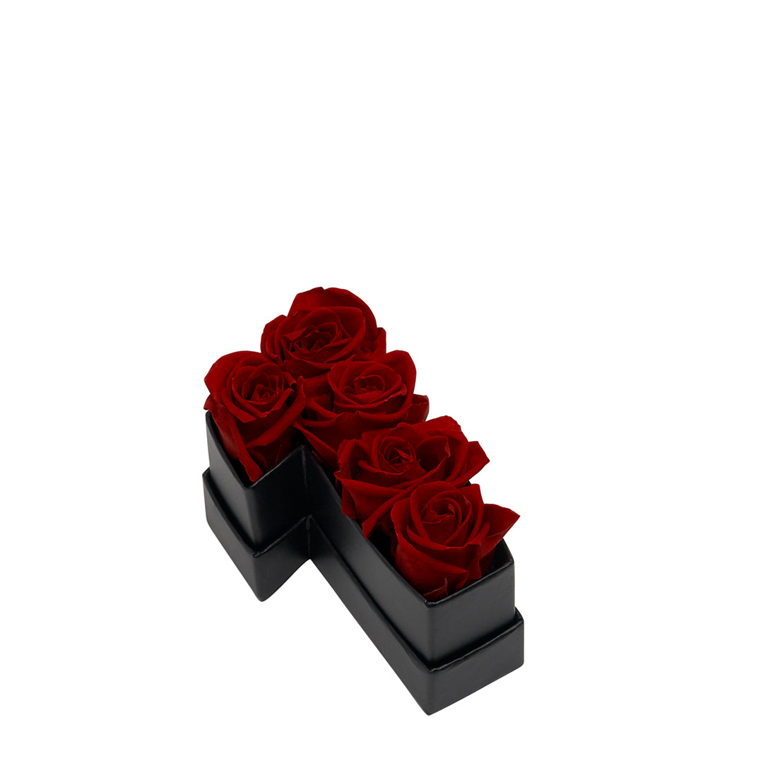 burgundy_c2fcbd07-ee67-4217-849d-d56963731bc8.jpg