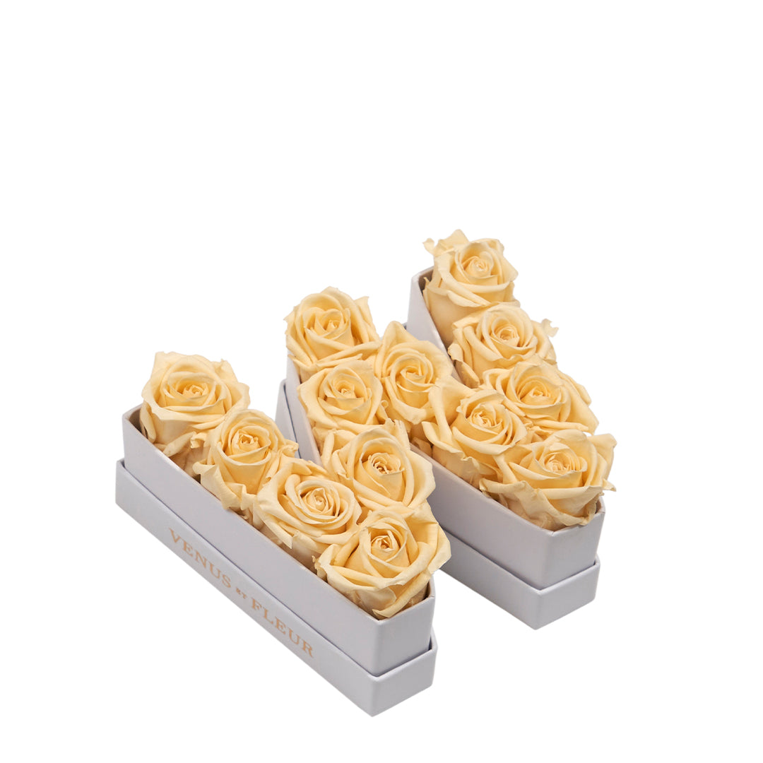 champagne_0b9ad2e6-ffbe-44e5-bed1-1aad2533813e.jpg