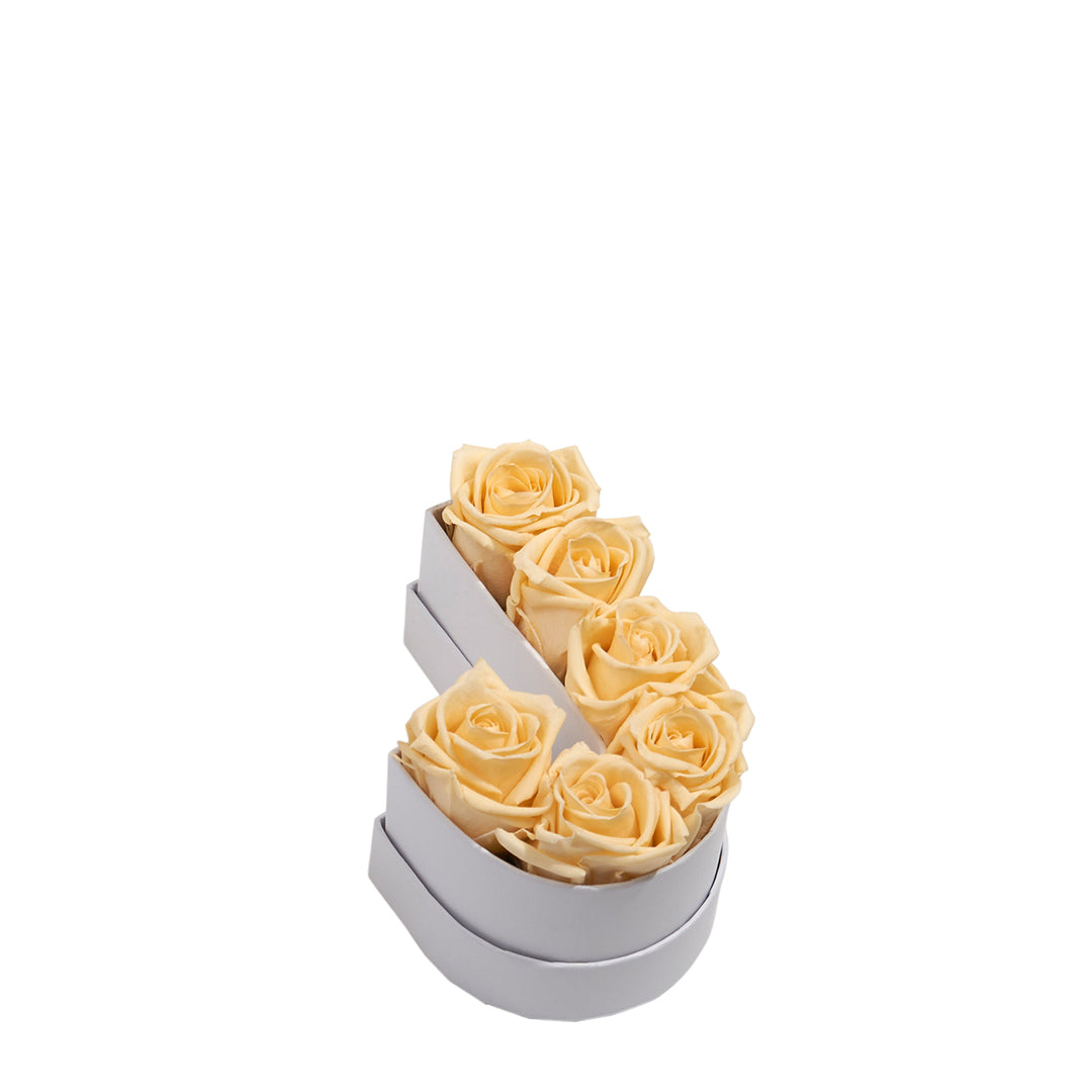 champagne_257ef6f9-1729-45a4-bbd1-1e923a94675a.jpg