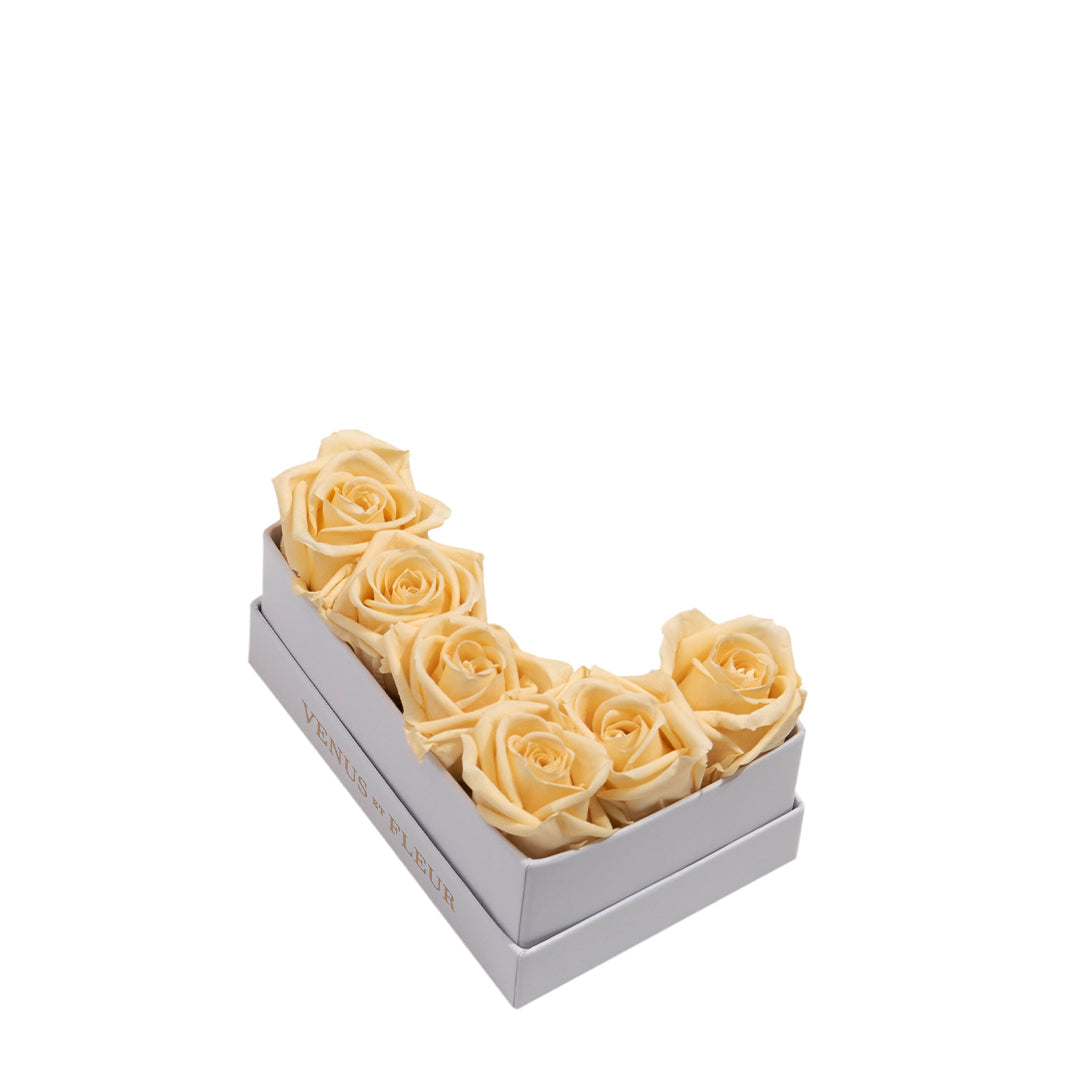 champagne_621850fd-1aa8-40a3-9969-08b408c4ec17.jpg