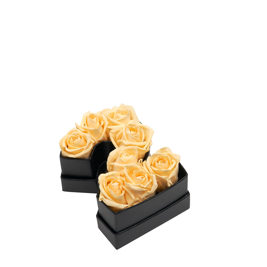 champagne_66bdf27d-9084-4d22-a008-66ce95d844ea.jpg