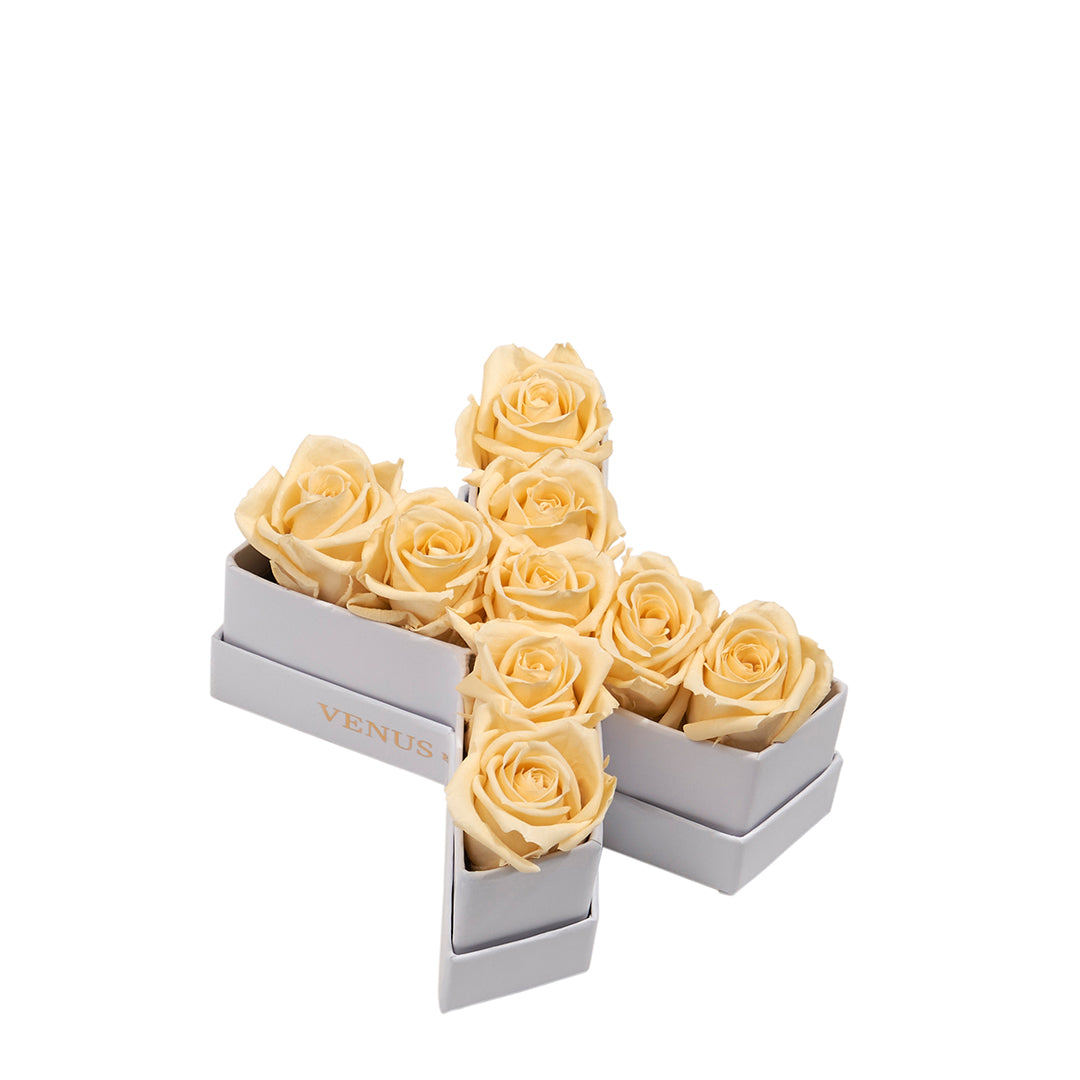 champagne_6c9df43f-0fcb-448a-86be-844ef08ce360.jpg