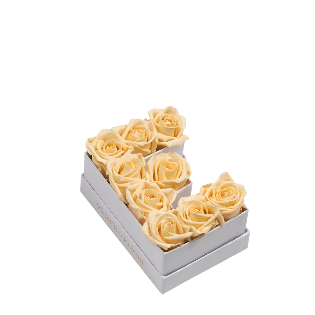 champagne_e41c3f48-daf9-42e1-83c4-73a54b0680d7.jpg