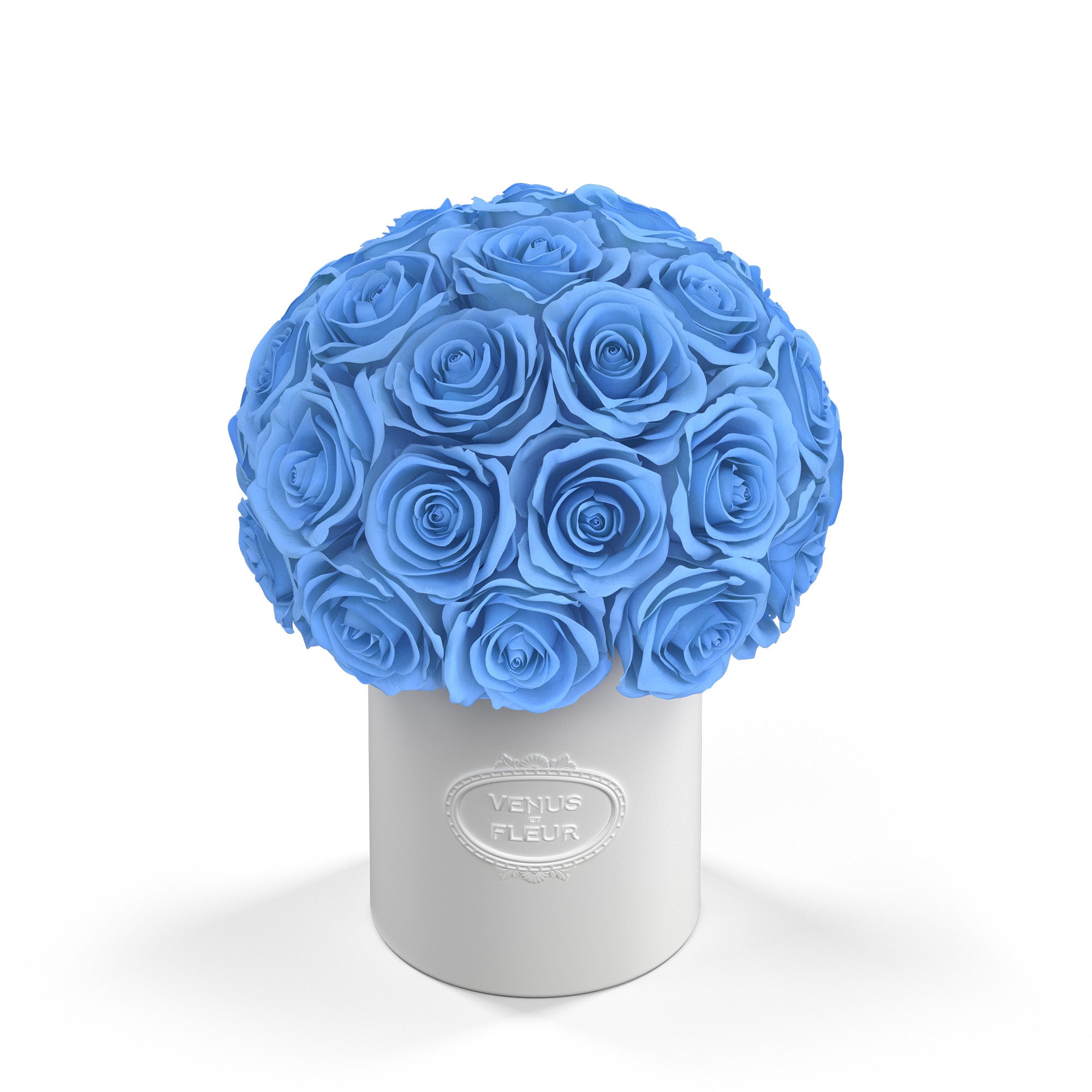 fleura-porcelain-roses-babyblue.jpg