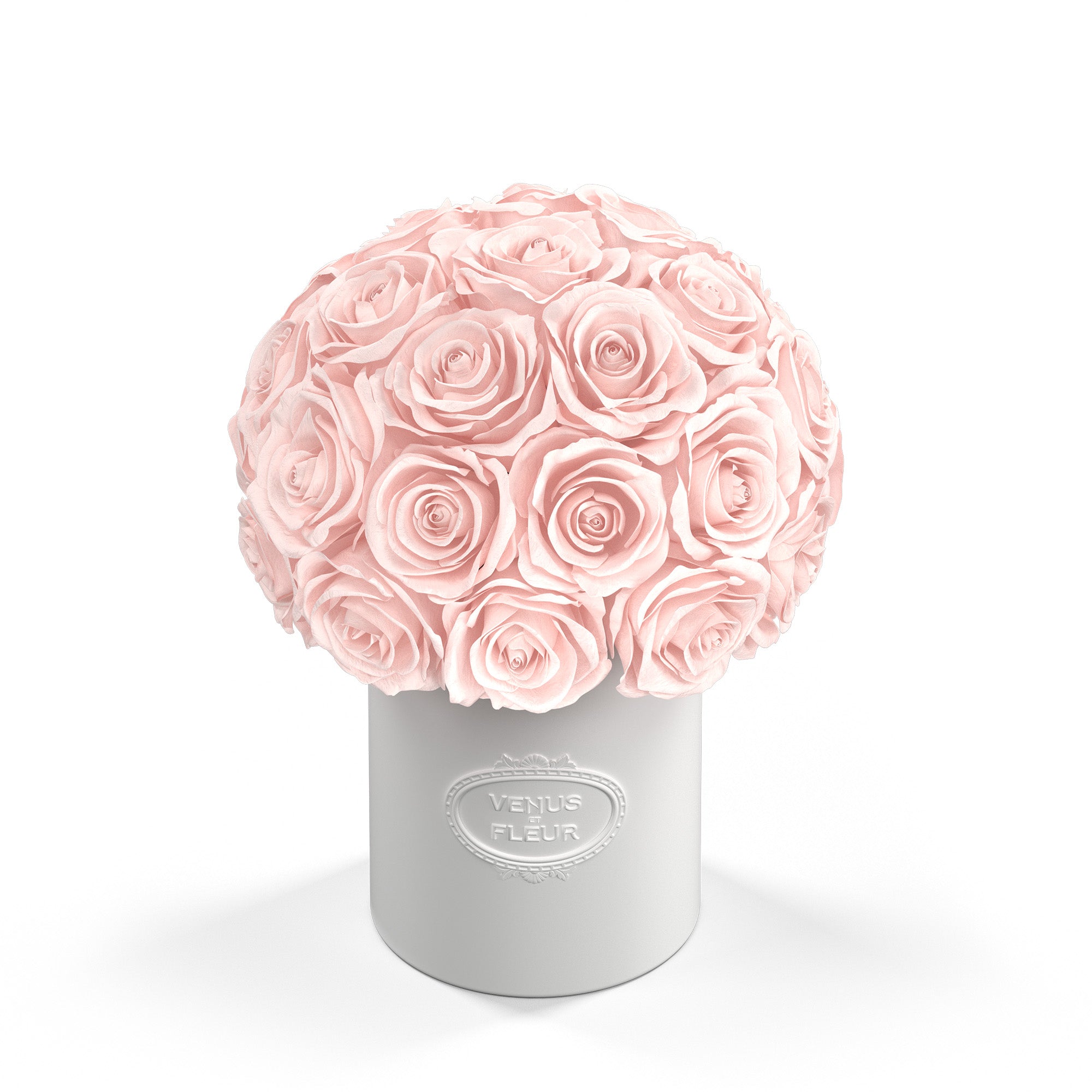 fleura-porcelain-roses-blush.jpg