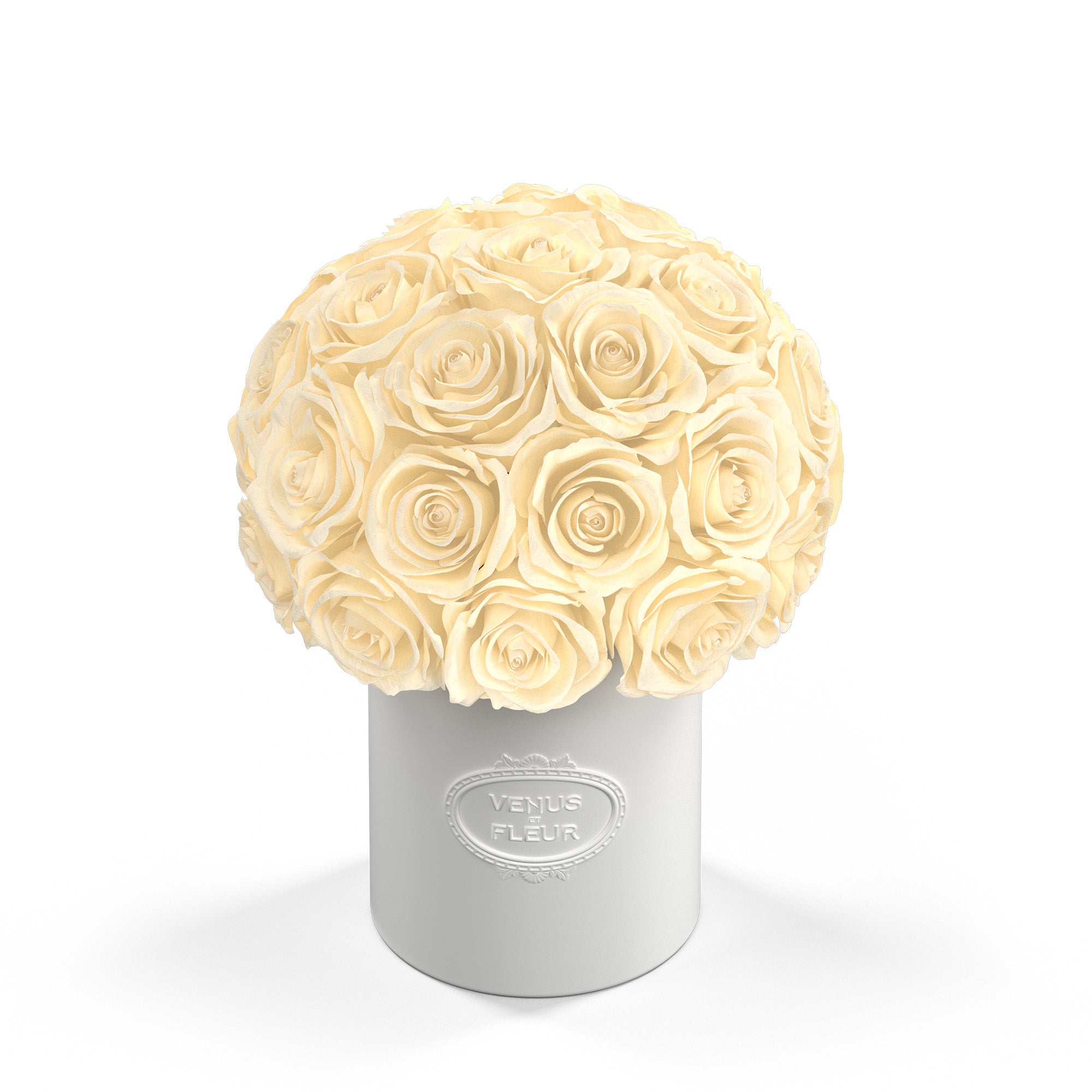 fleura-porcelain-roses-pearl.jpg