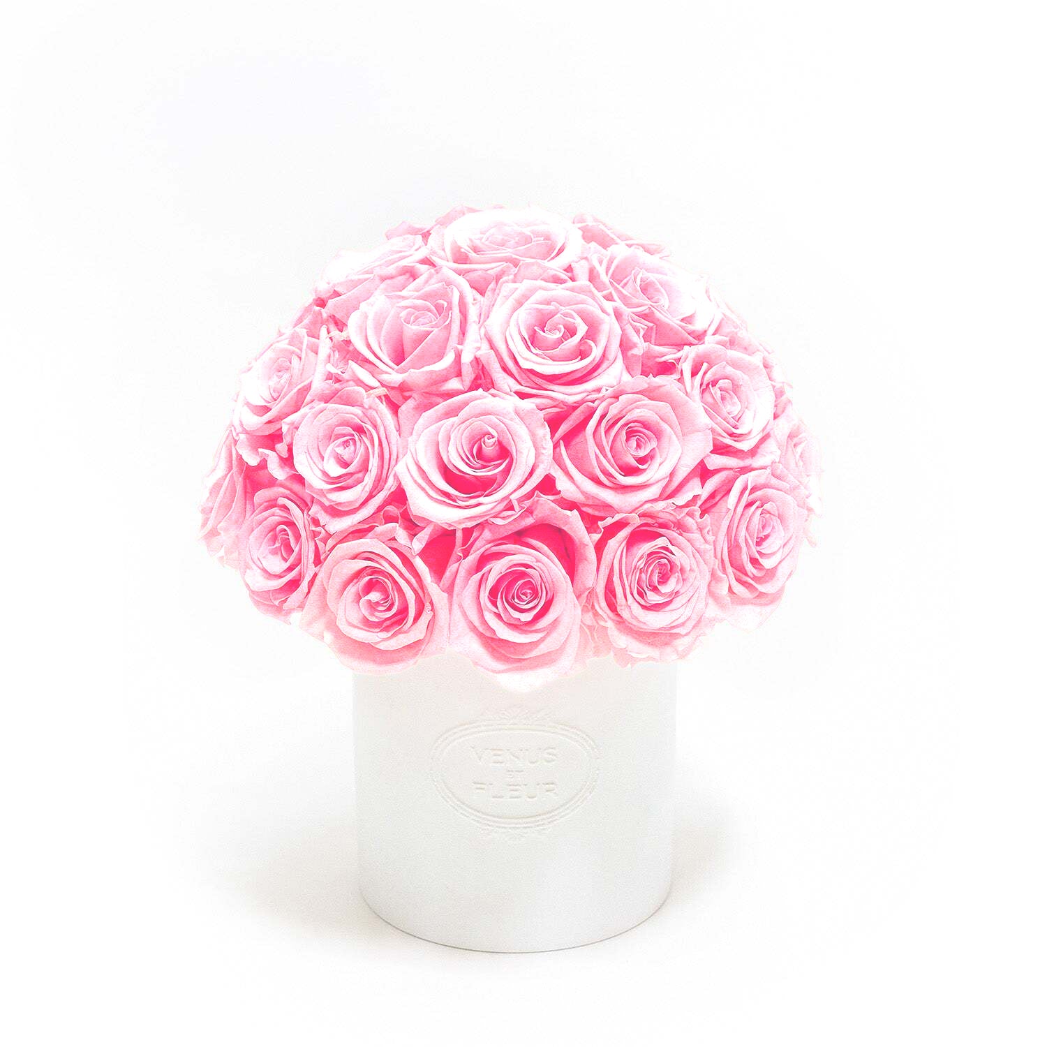 fleura_balletpink.jpg