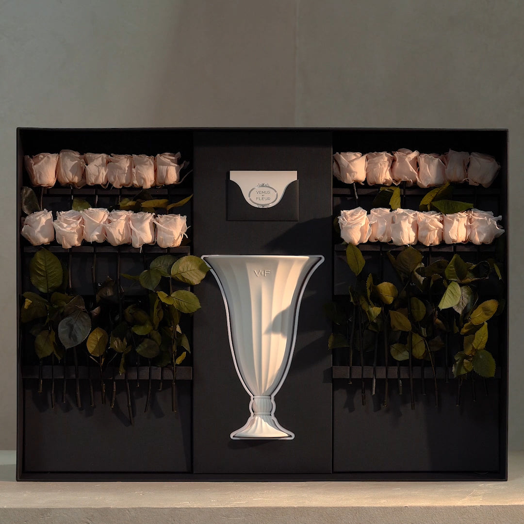 grand_aphrodite-packaging.jpg