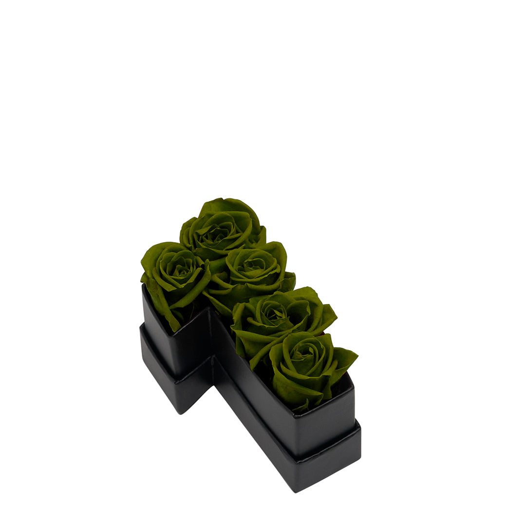 green_fb1525e9-7817-4efc-be9f-eba655a45ed4.jpg