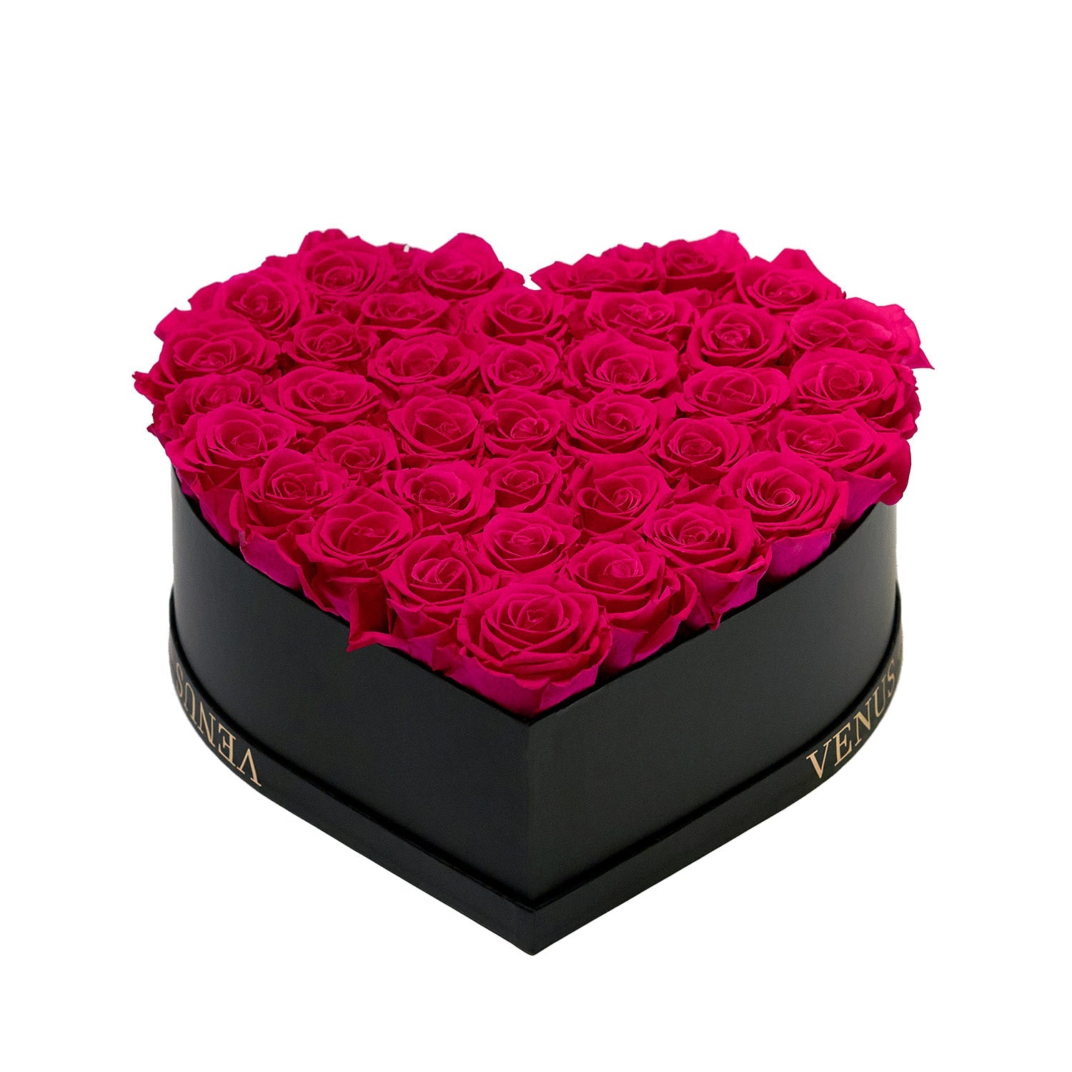 hotpink_26.jpg