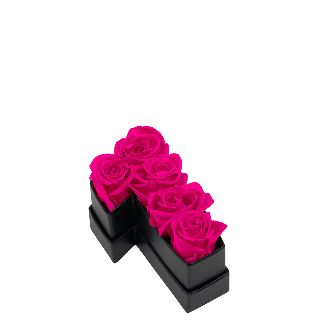 hotpink_3969247f-e660-4817-862c-e84f541bc3cf.jpg