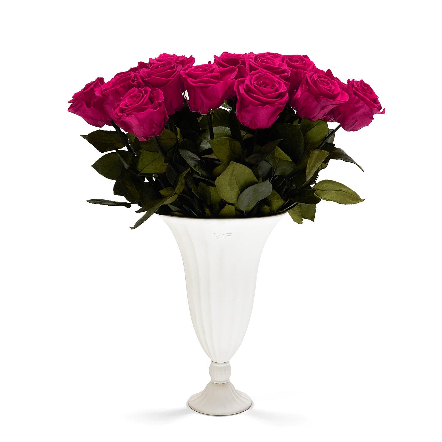 hotpink_4a851585-2e0e-4de9-bd23-1949cf93577c.jpg