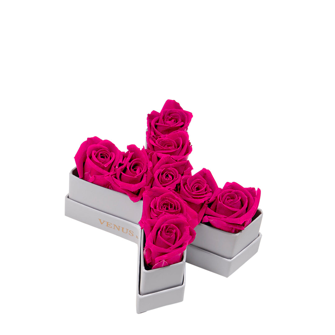 hotpink_a8df2cda-d6e4-4fd2-8ffc-28ebd9e96d49.jpg