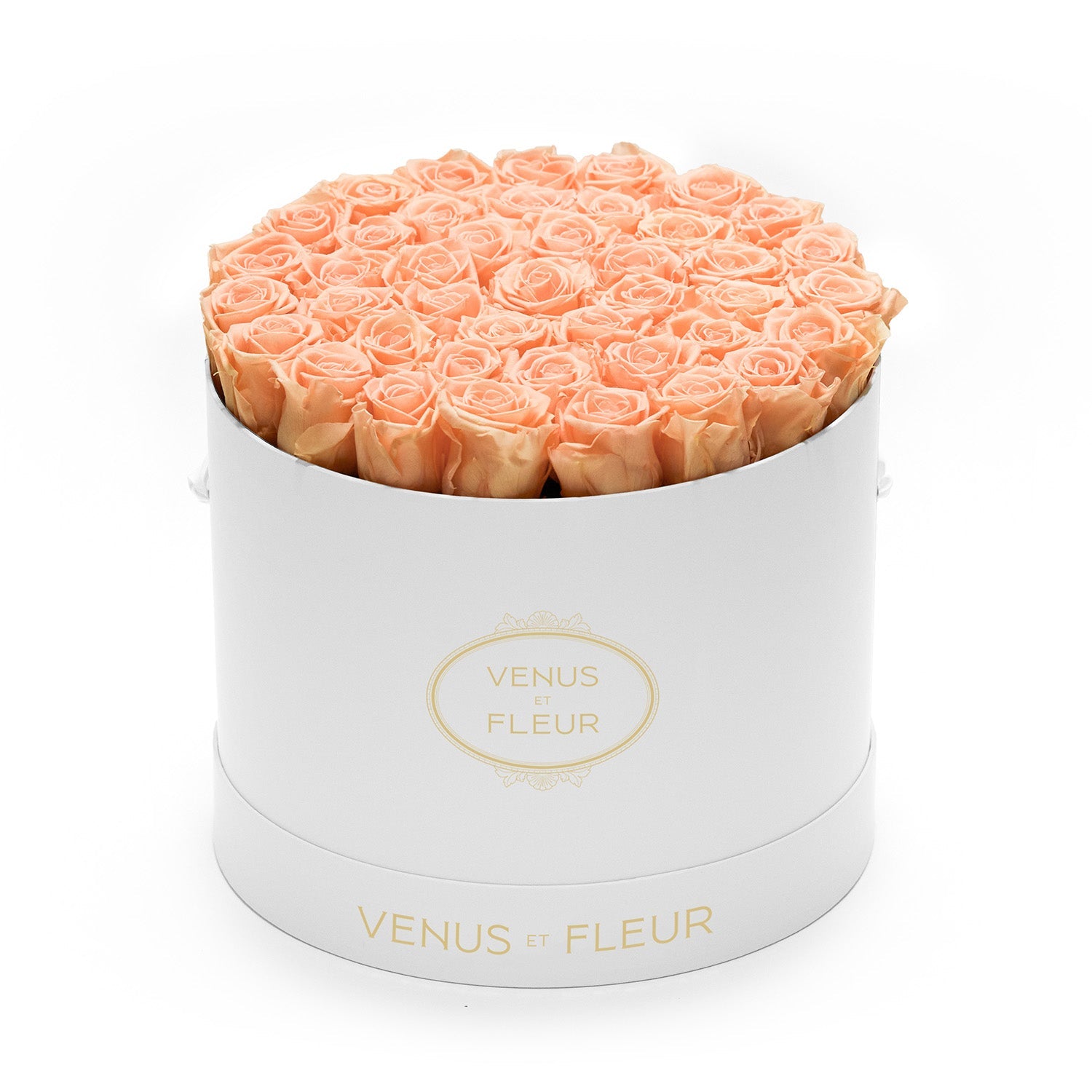 large_round_peachnectar.jpg