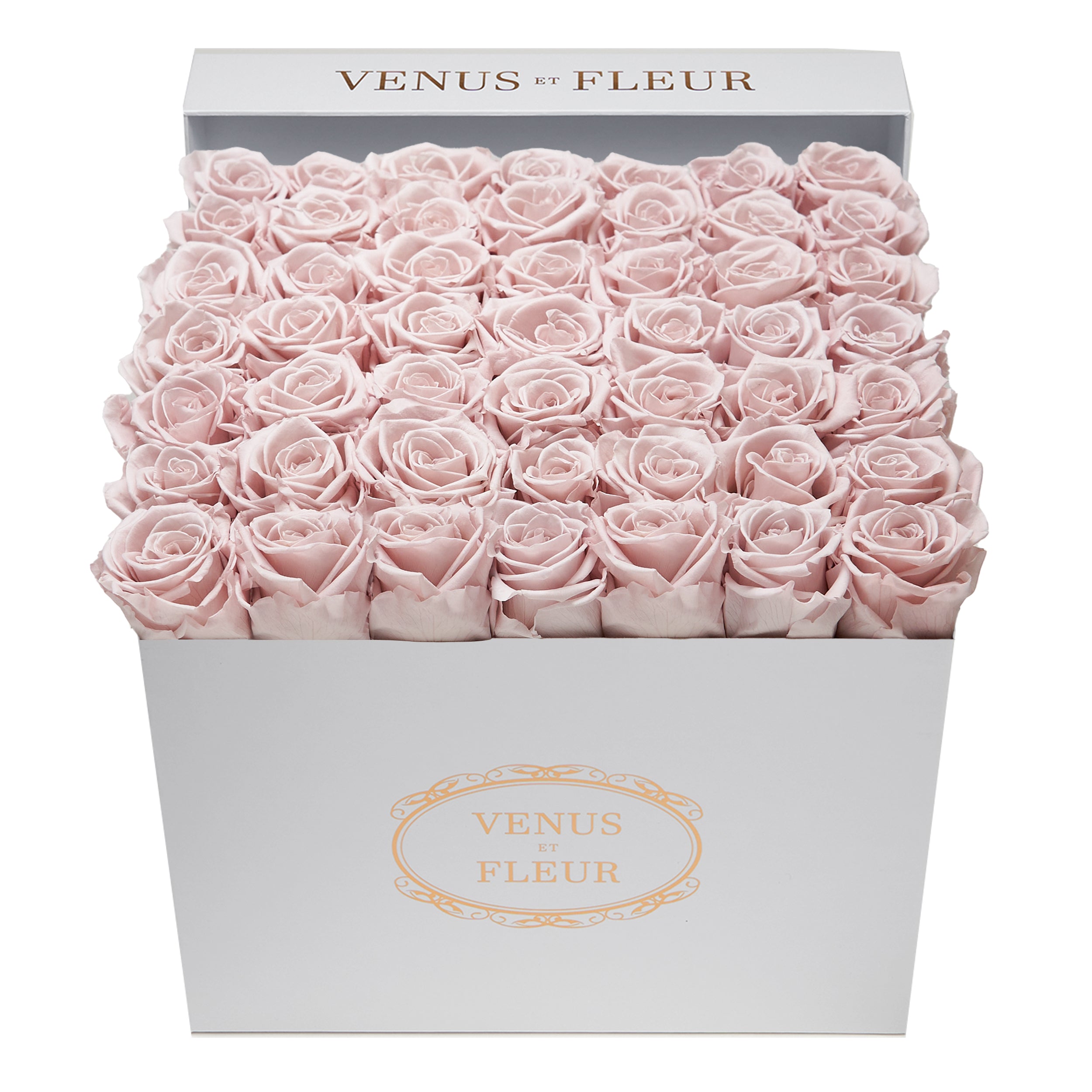 large_square_white_classic_dusty_rose-3.jpg