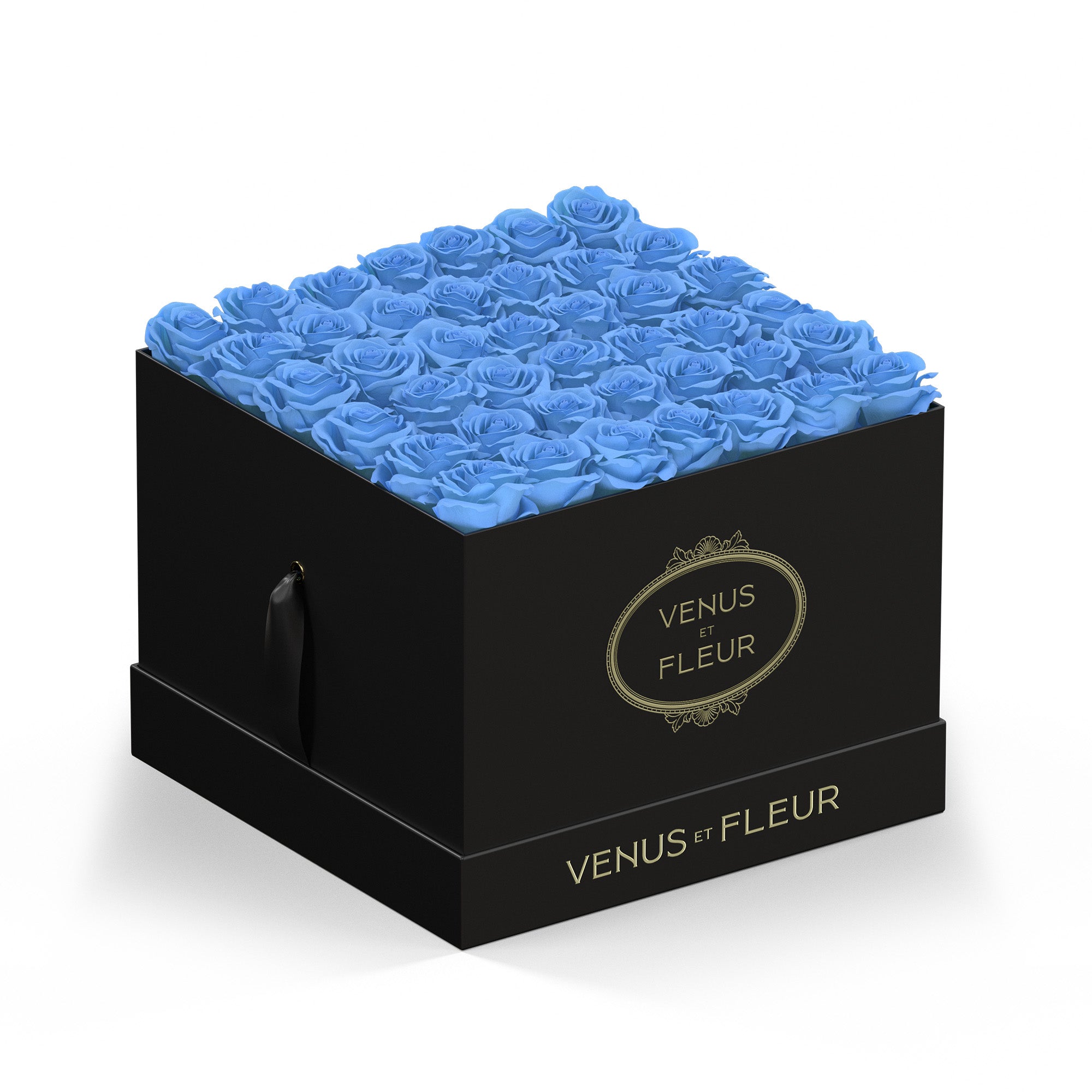 largesquare-blackclassic-roses-babyblue.jpg