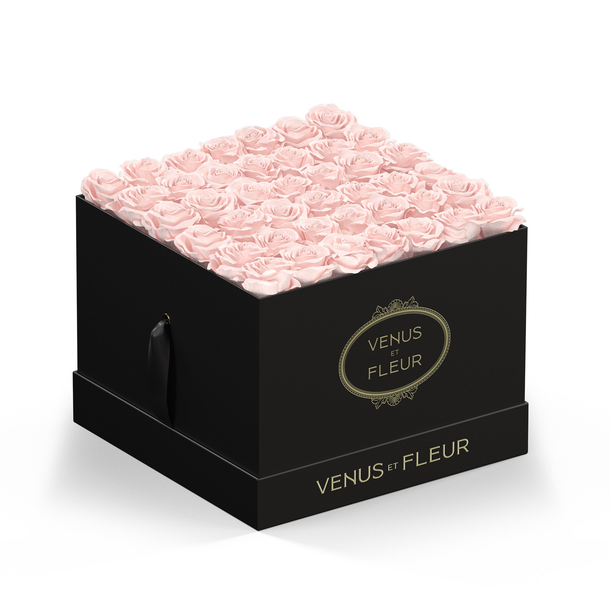 largesquare-blackclassic-roses-blush.jpg