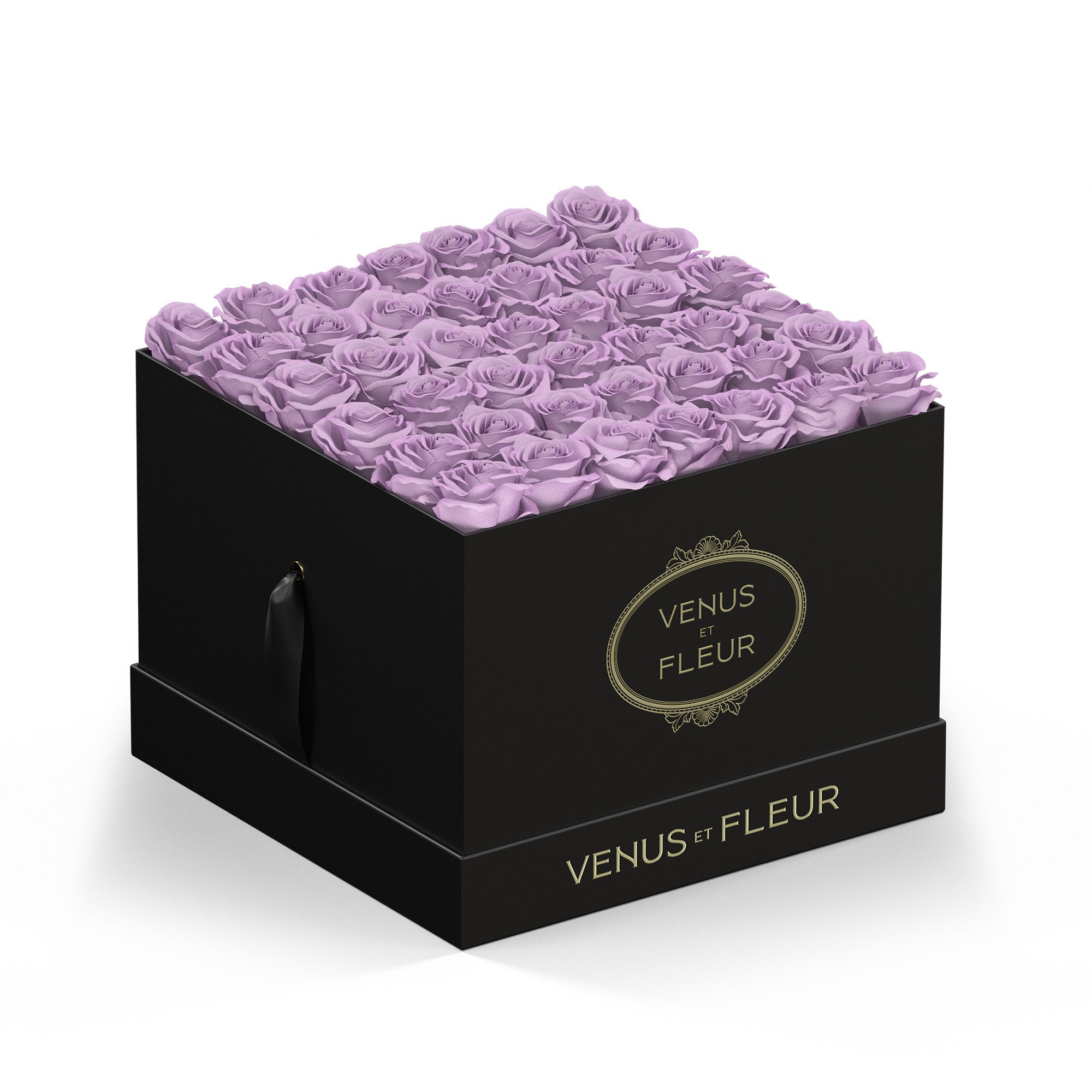 largesquare-blackclassic-roses-dustylavender.jpg