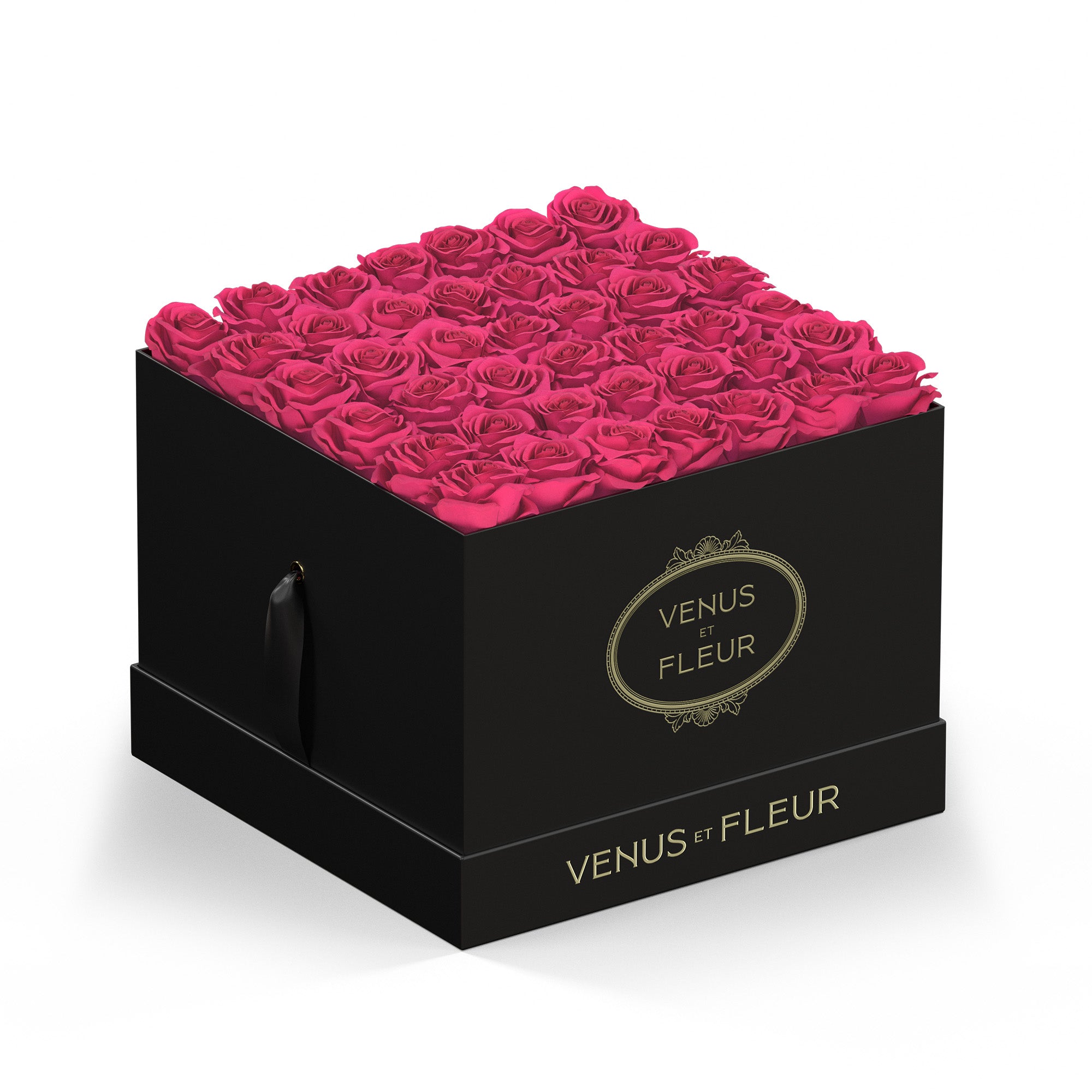 largesquare-blackclassic-roses-hotpink.jpg