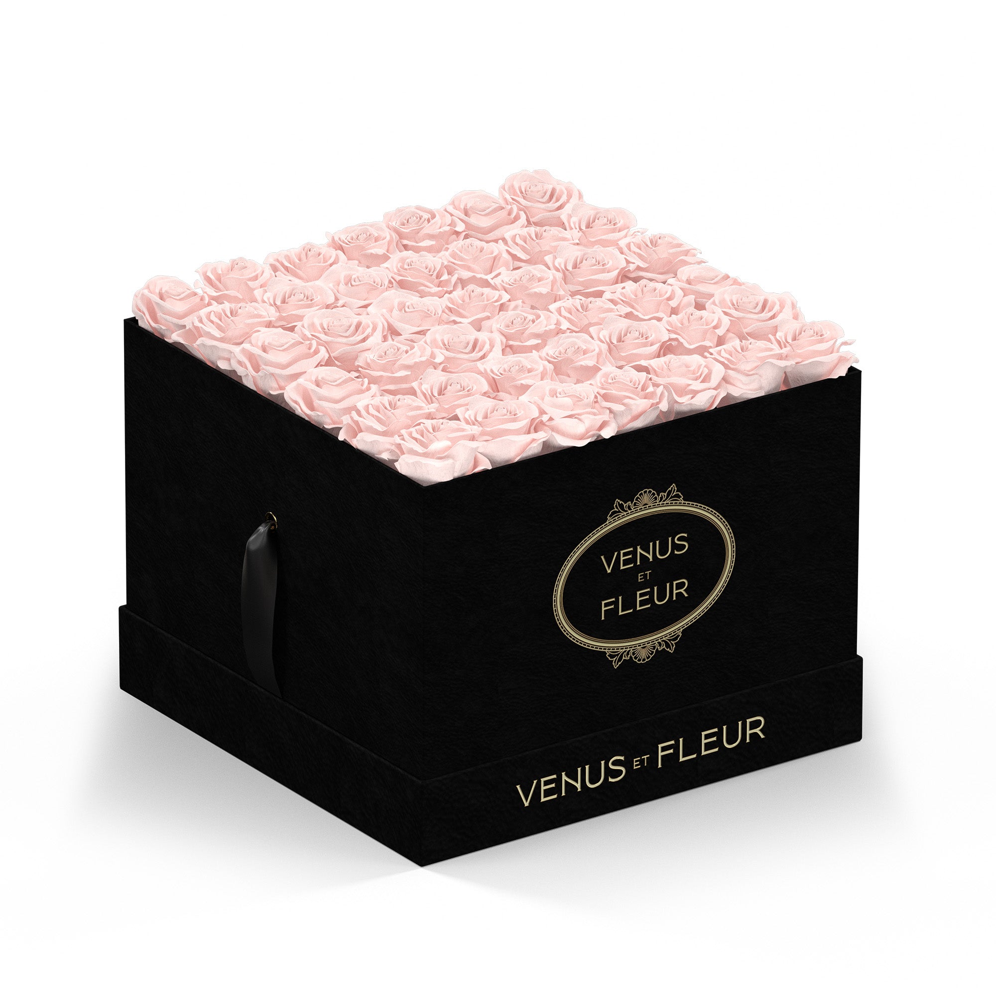 largesquare-blacksuede-roses-blush.jpg