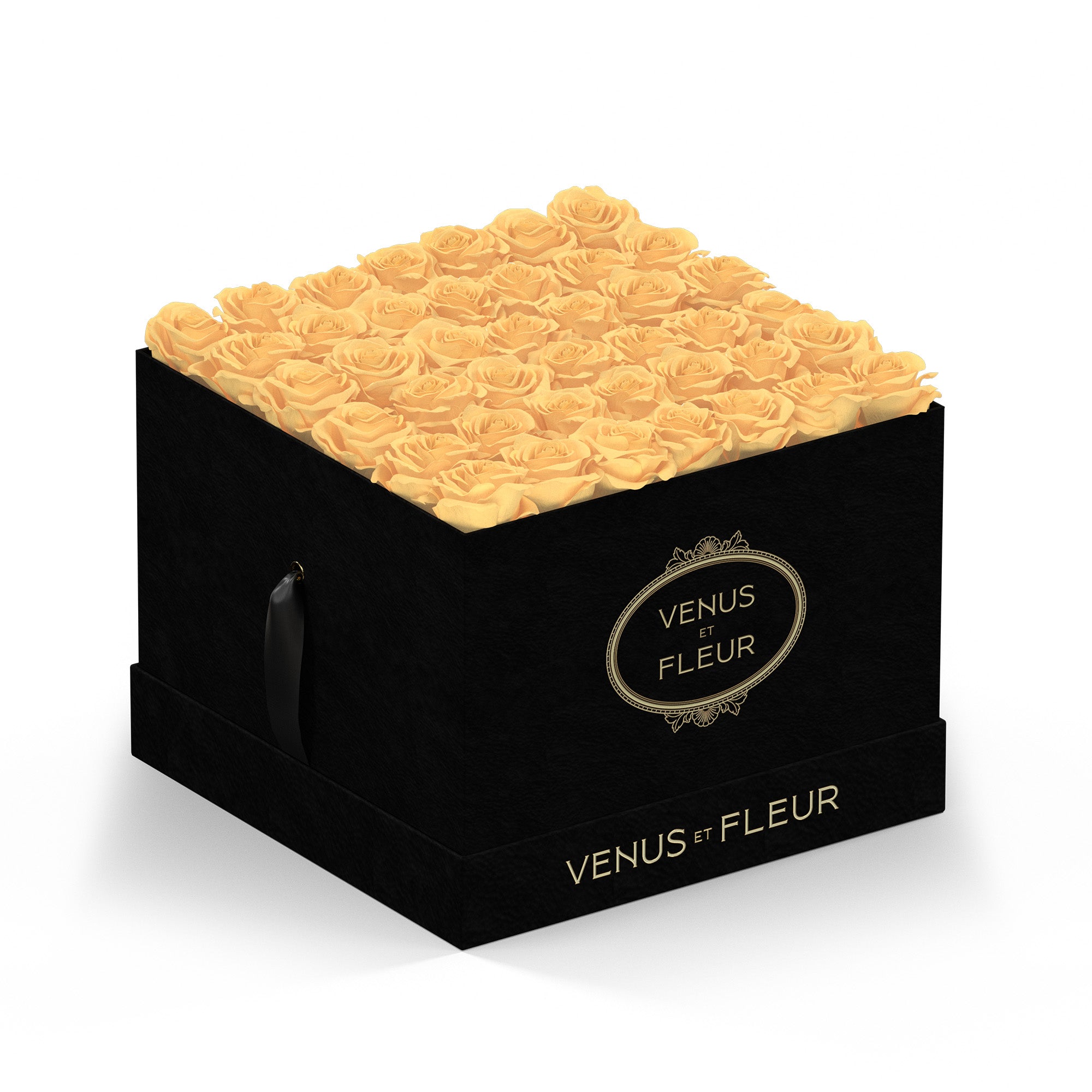 largesquare-blacksuede-roses-champagne.jpg