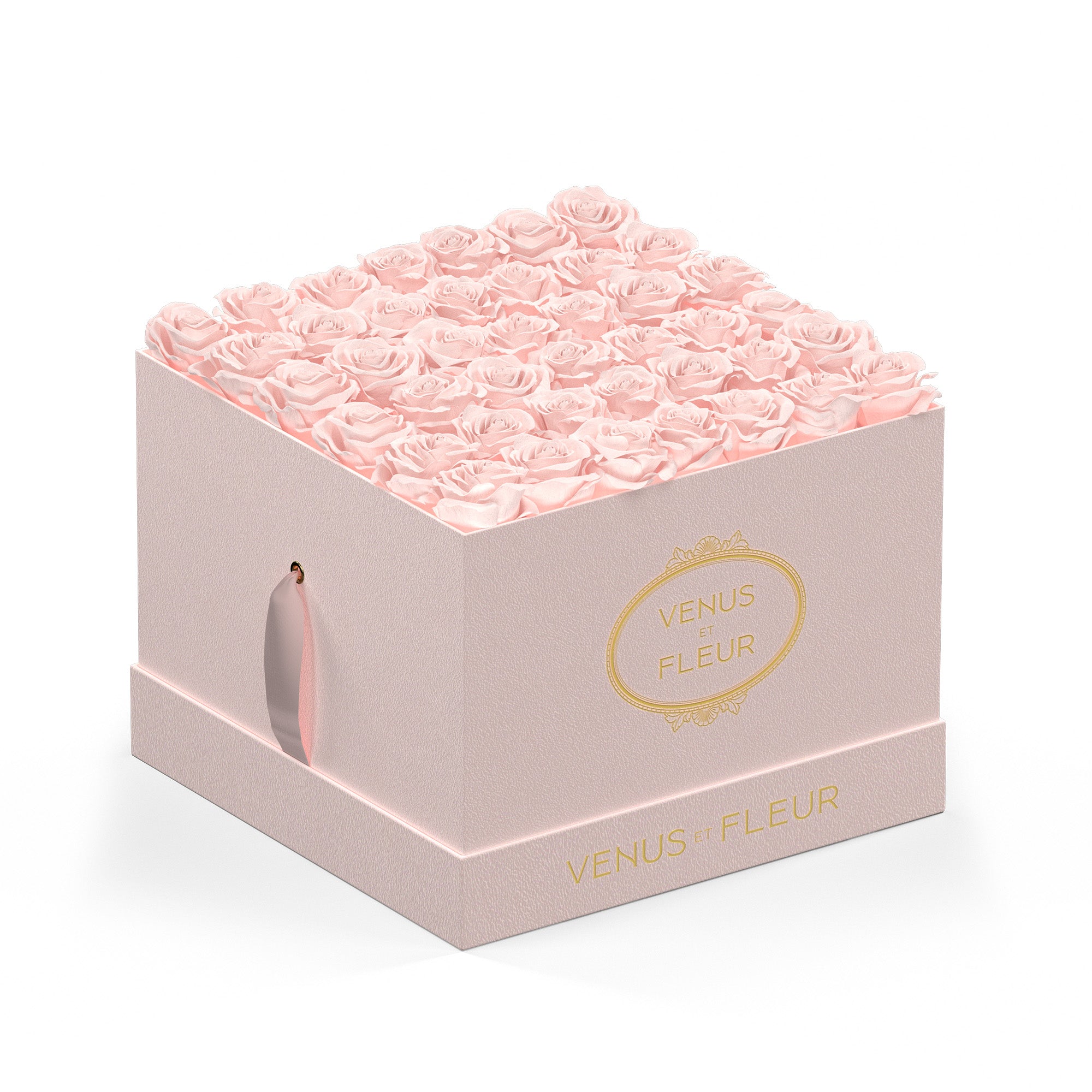 largesquare-blushsuede-roses-blush.jpg