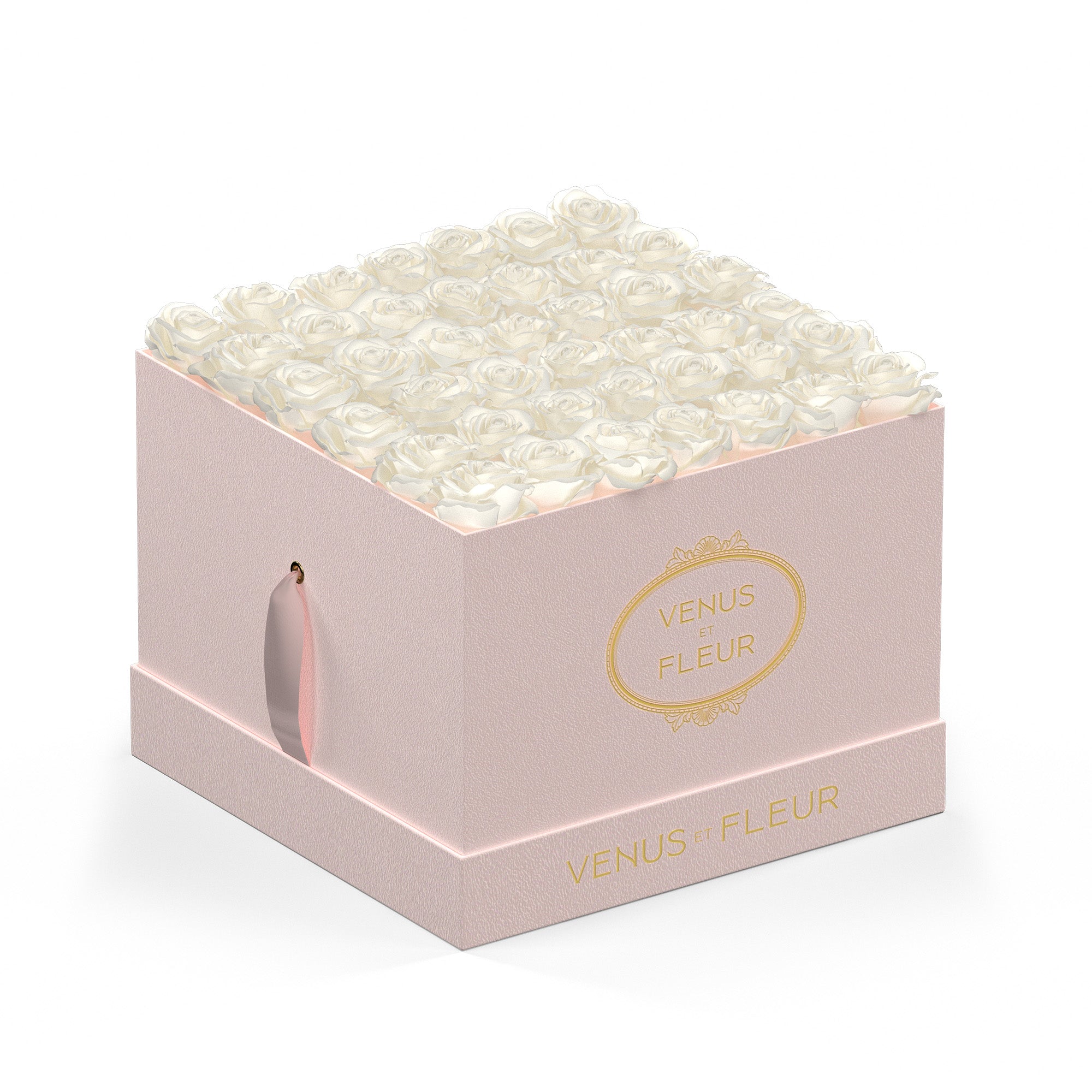 largesquare-blushsuede-roses-purewhite.jpg