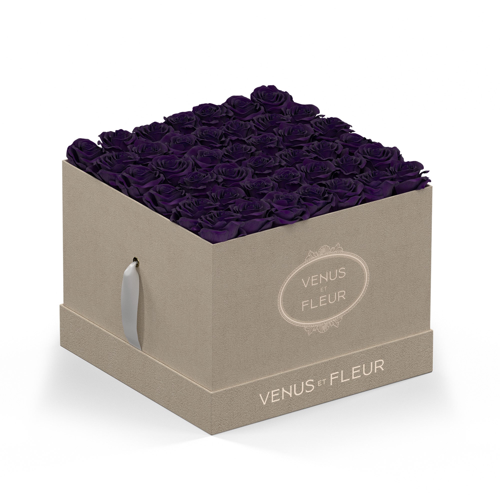 largesquare-creamsuede-roses-deeppurple.jpg