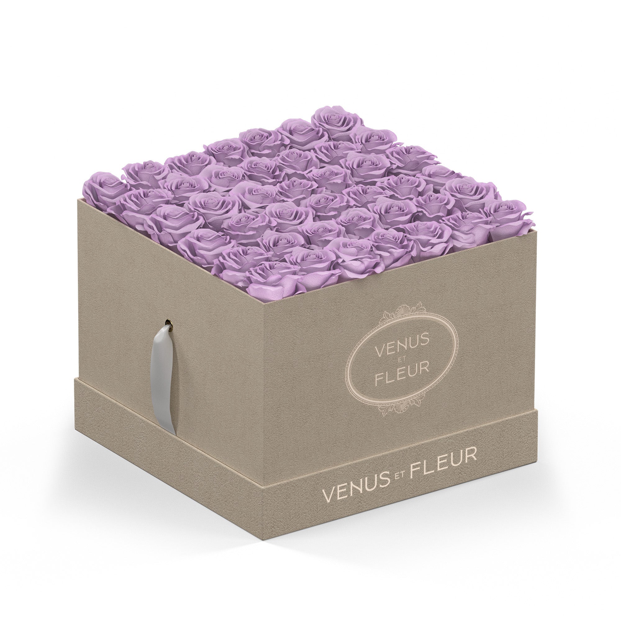 largesquare-creamsuede-roses-dustylavender.jpg