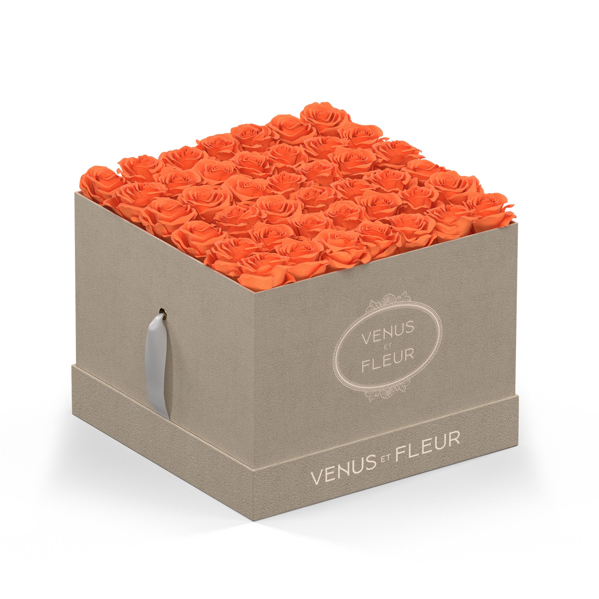 largesquare-creamsuede-roses-papaya.jpg