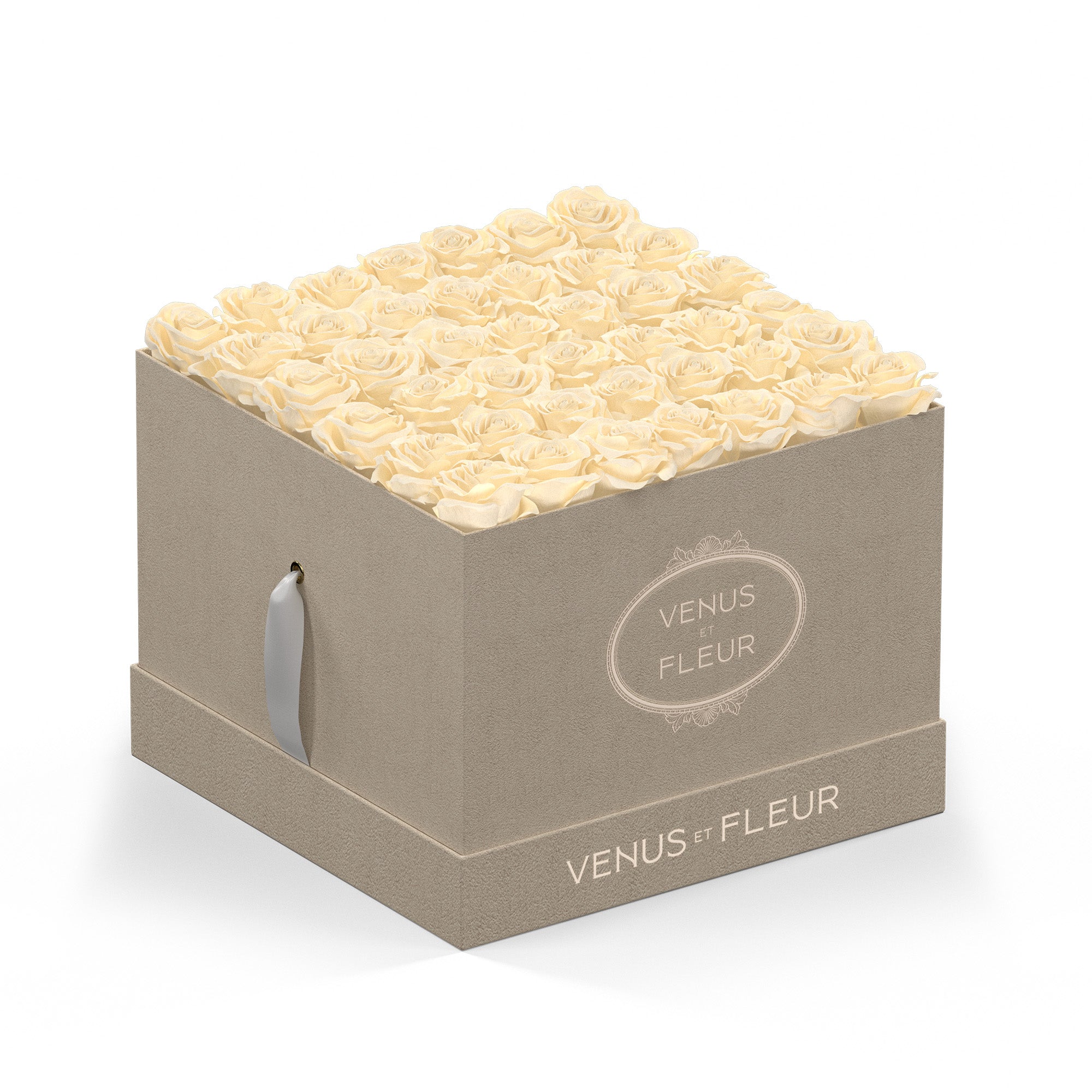 largesquare-creamsuede-roses-pearl.jpg