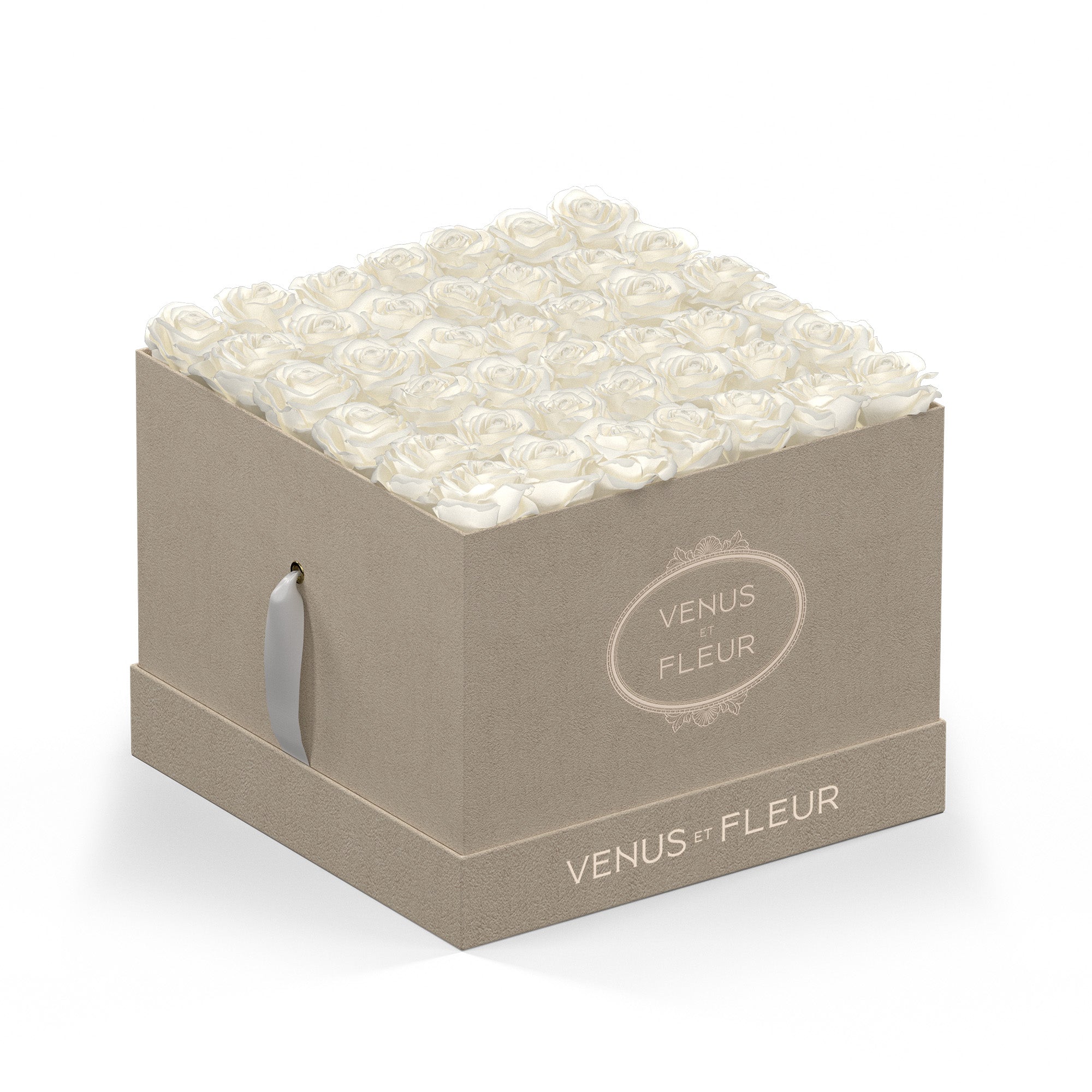 largesquare-creamsuede-roses-purewhite.jpg