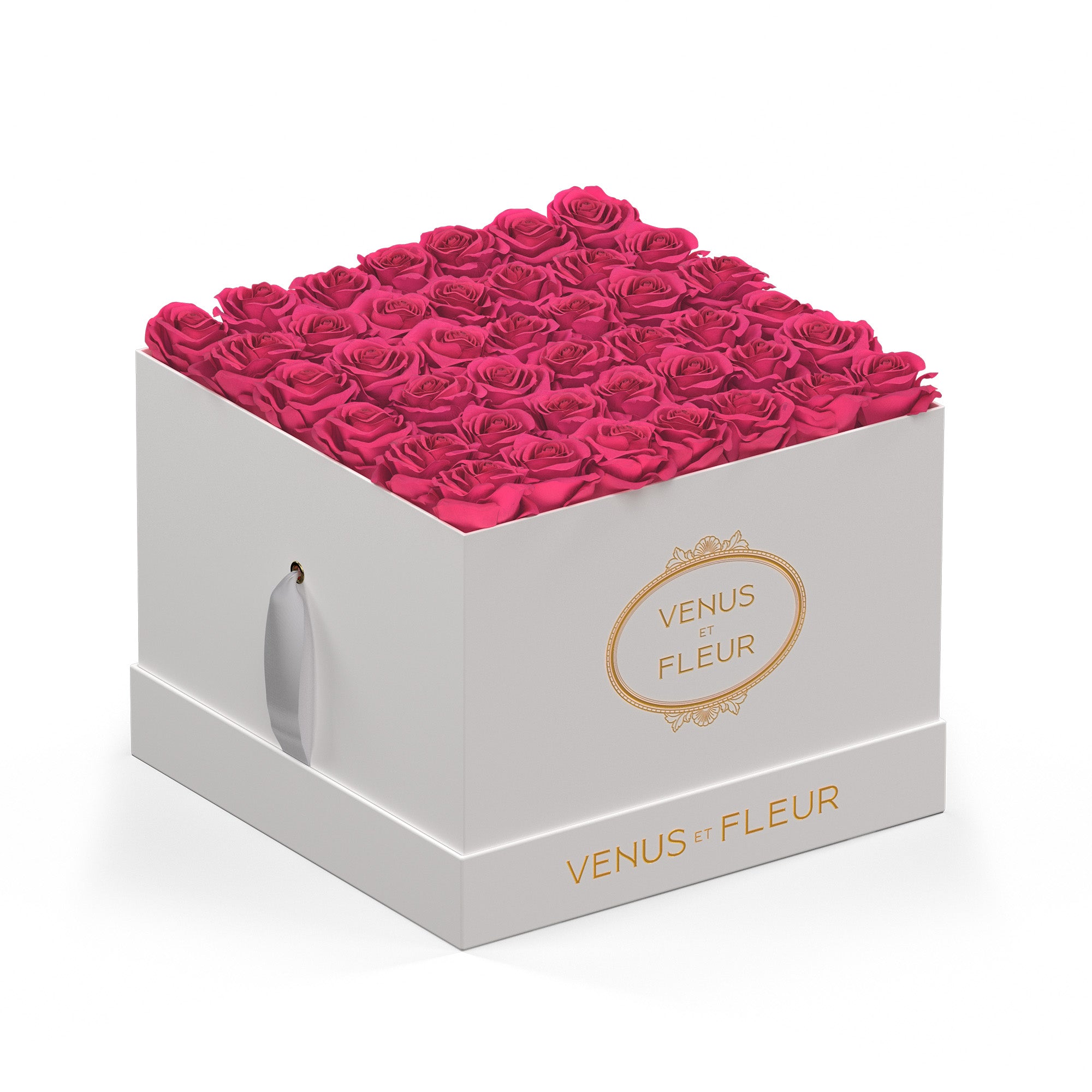 largesquare-whiteclassic-roses-hotpink-1.jpg