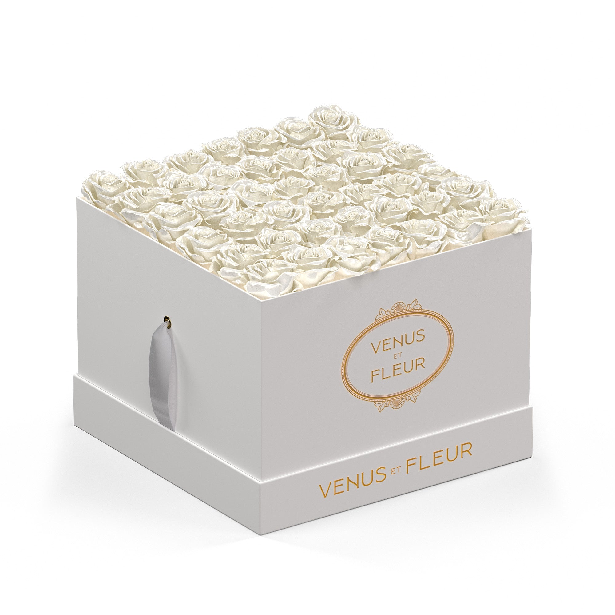 largesquare-whiteclassic-roses-pearlsheen.jpg
