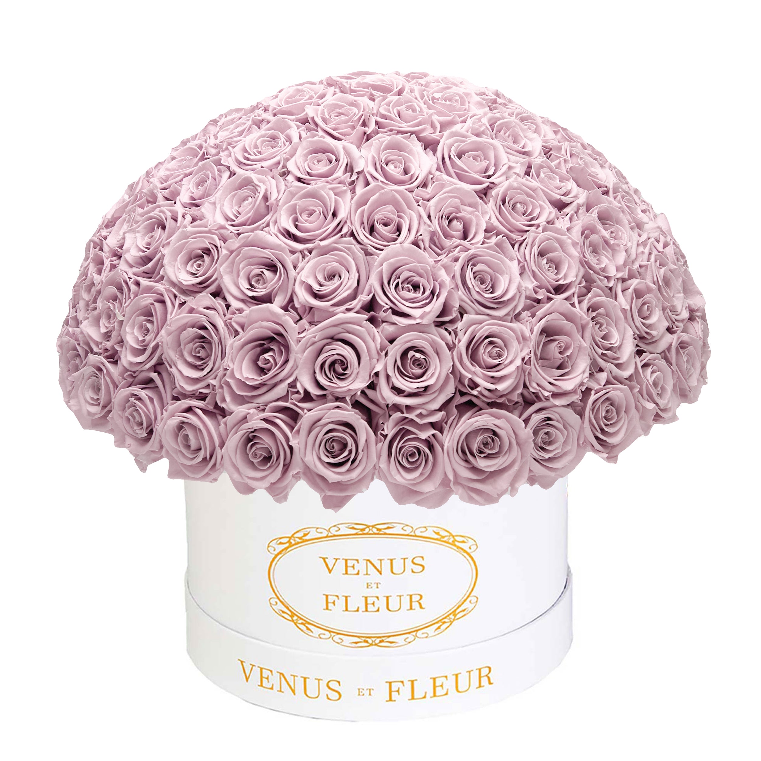 le_plein_white_classic_dusty_rose.jpg