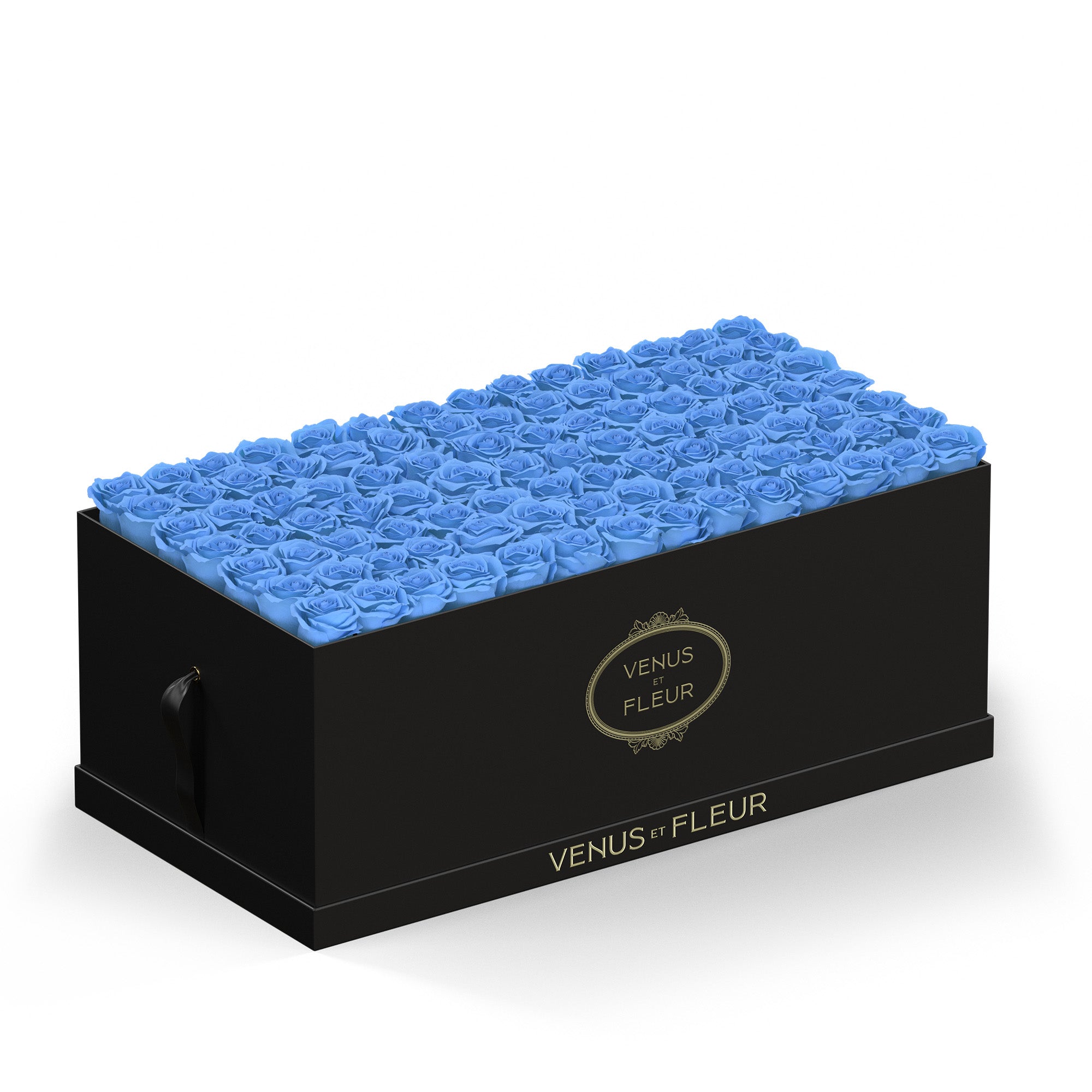 leduomagnifique-blackclassic-roses-babyblue.jpg