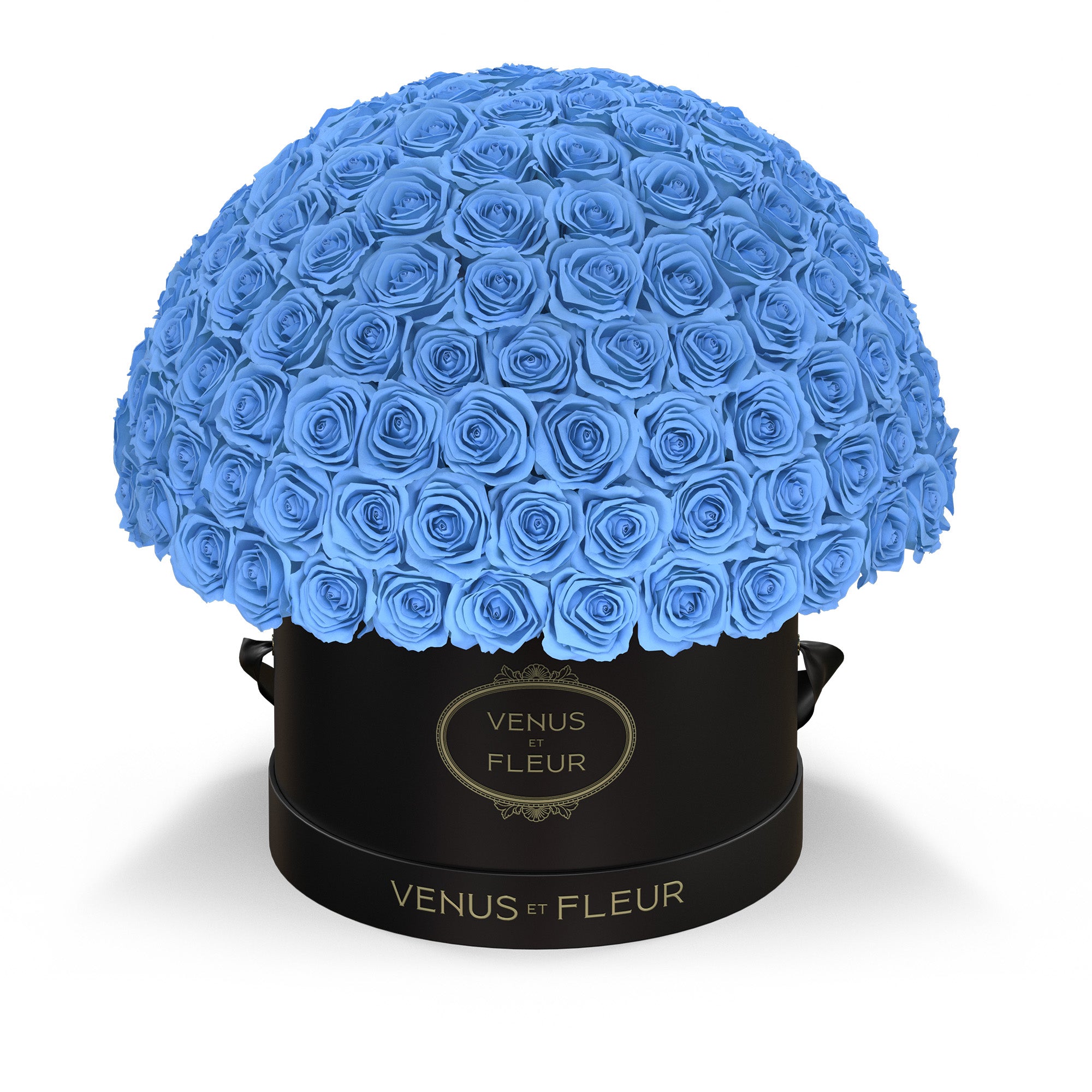 leplein-blackclassic-roses-babyblue.jpg