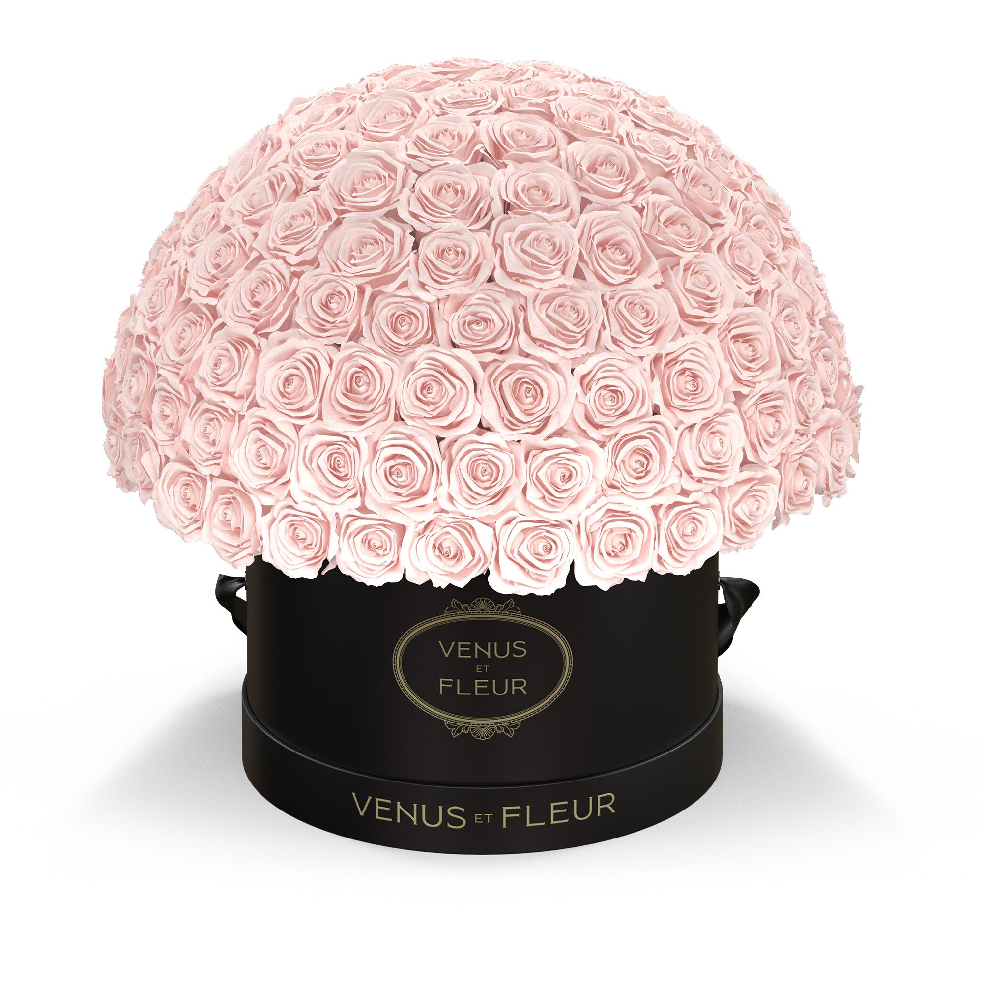 leplein-blackclassic-roses-blush.jpg