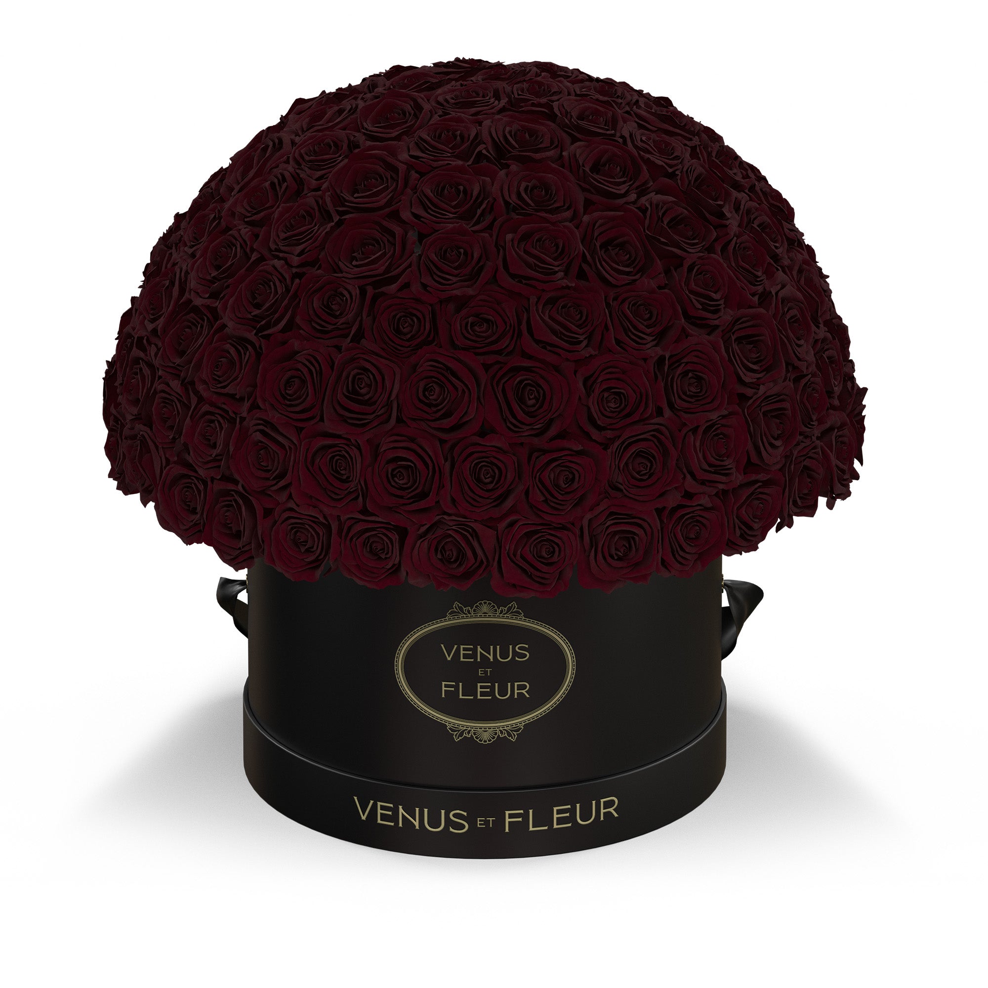 leplein-blackclassic-roses-burgundy.jpg