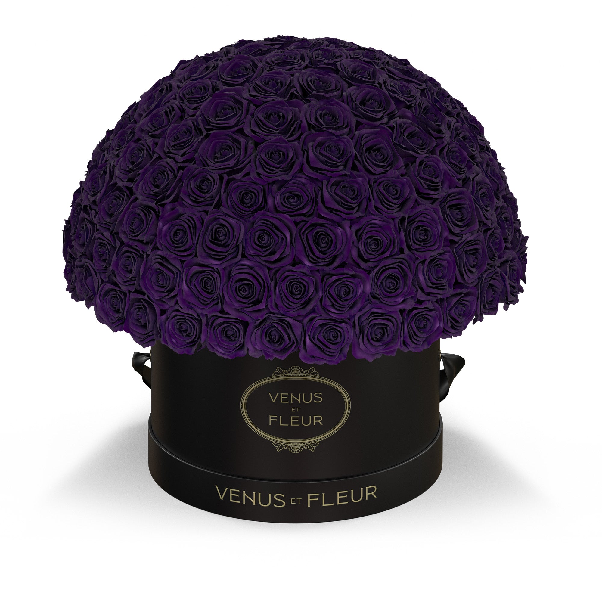 leplein-blackclassic-roses-deeppurple.jpg